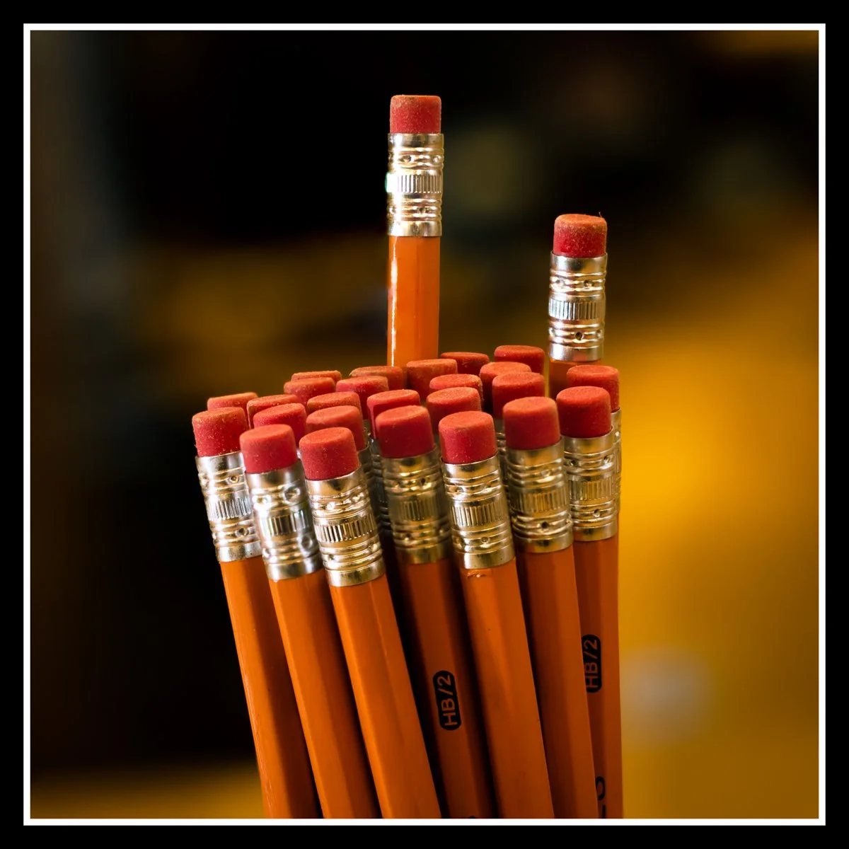 Close‑up of sharpened HB shop pencils grouped together, showing ferrules and erasers in warm light.