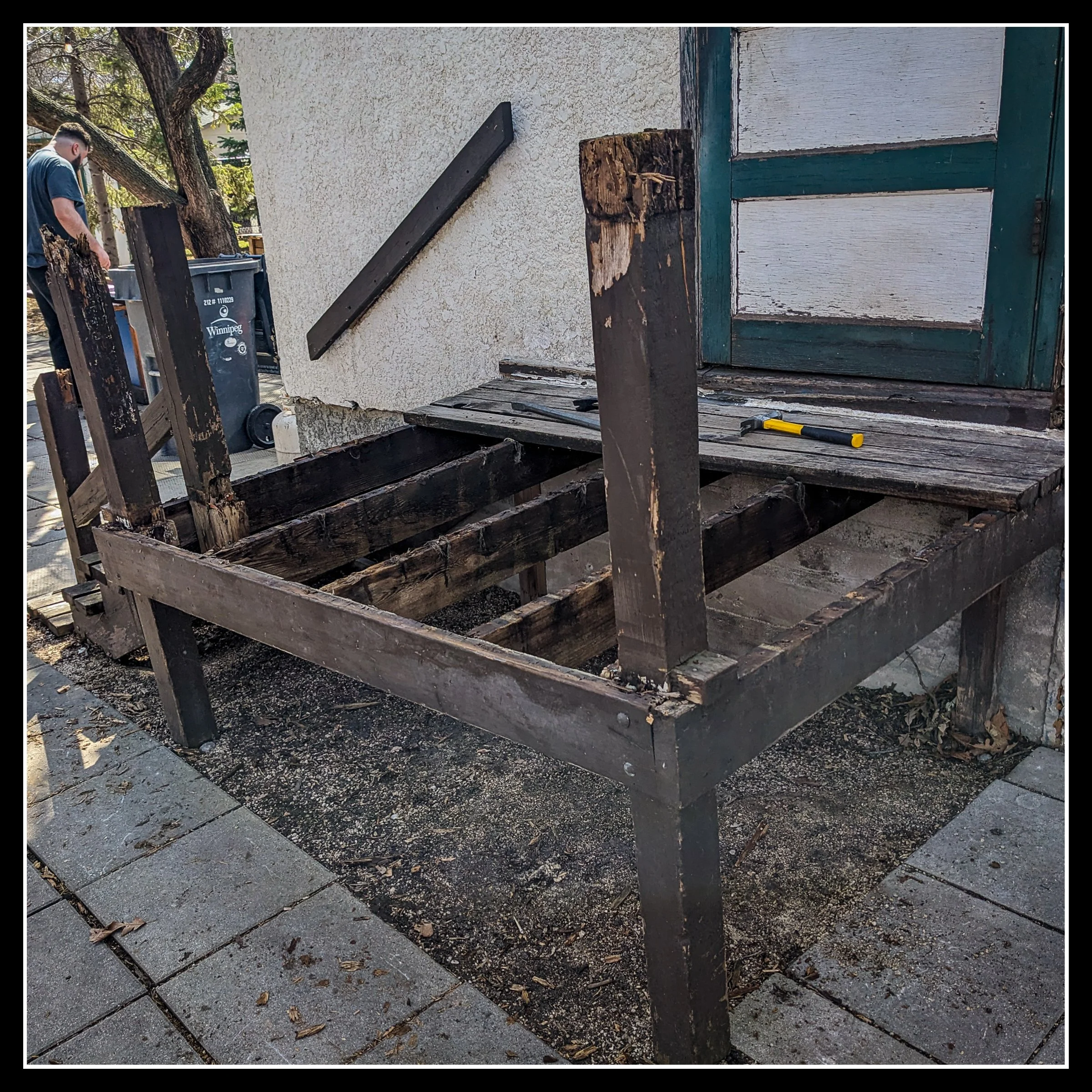 Weathered, partially dismantled cedar deck showing rot on the ends — the original source of the reclaimed cedar used in the story.