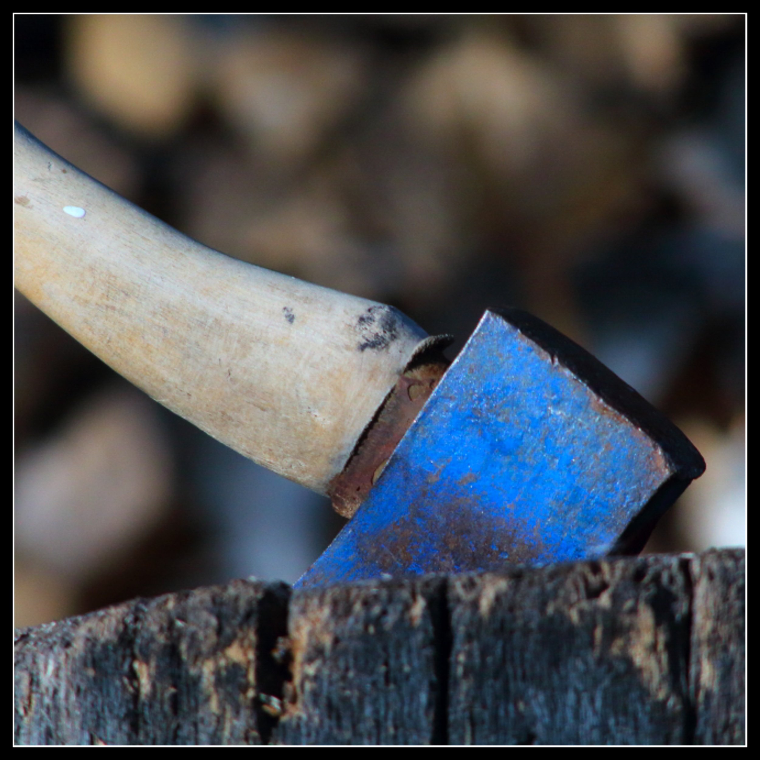 Wood Doesn’t Lie: Lessons From the Woodpile to the Workshop