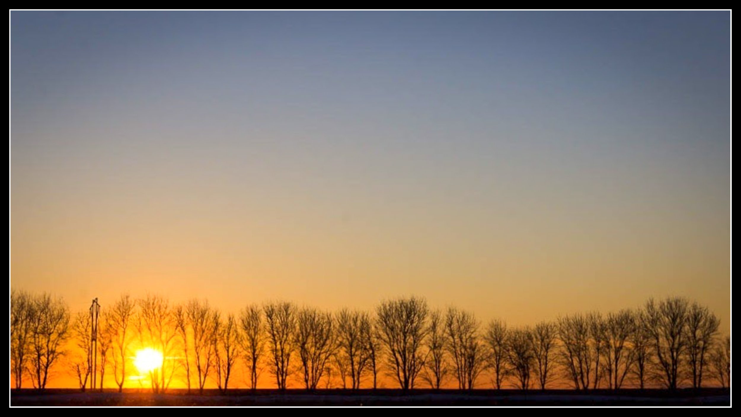 Windrow of prairie trees at sunset during the spring melt in the Red River Valley.
