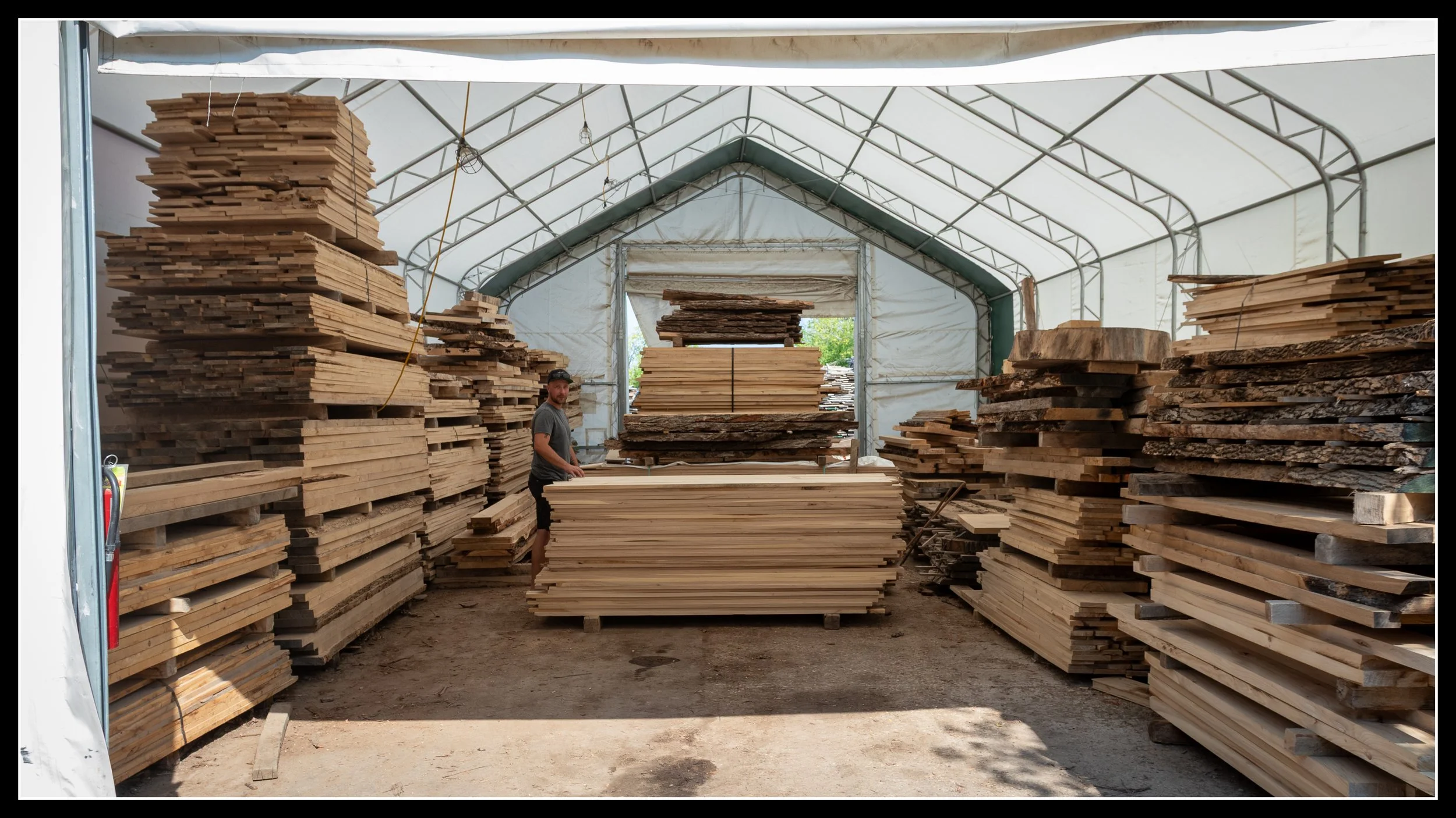 Stacks of kiln‑dried elm boards in storage, showing varied grain and colour, ready for woodworking.