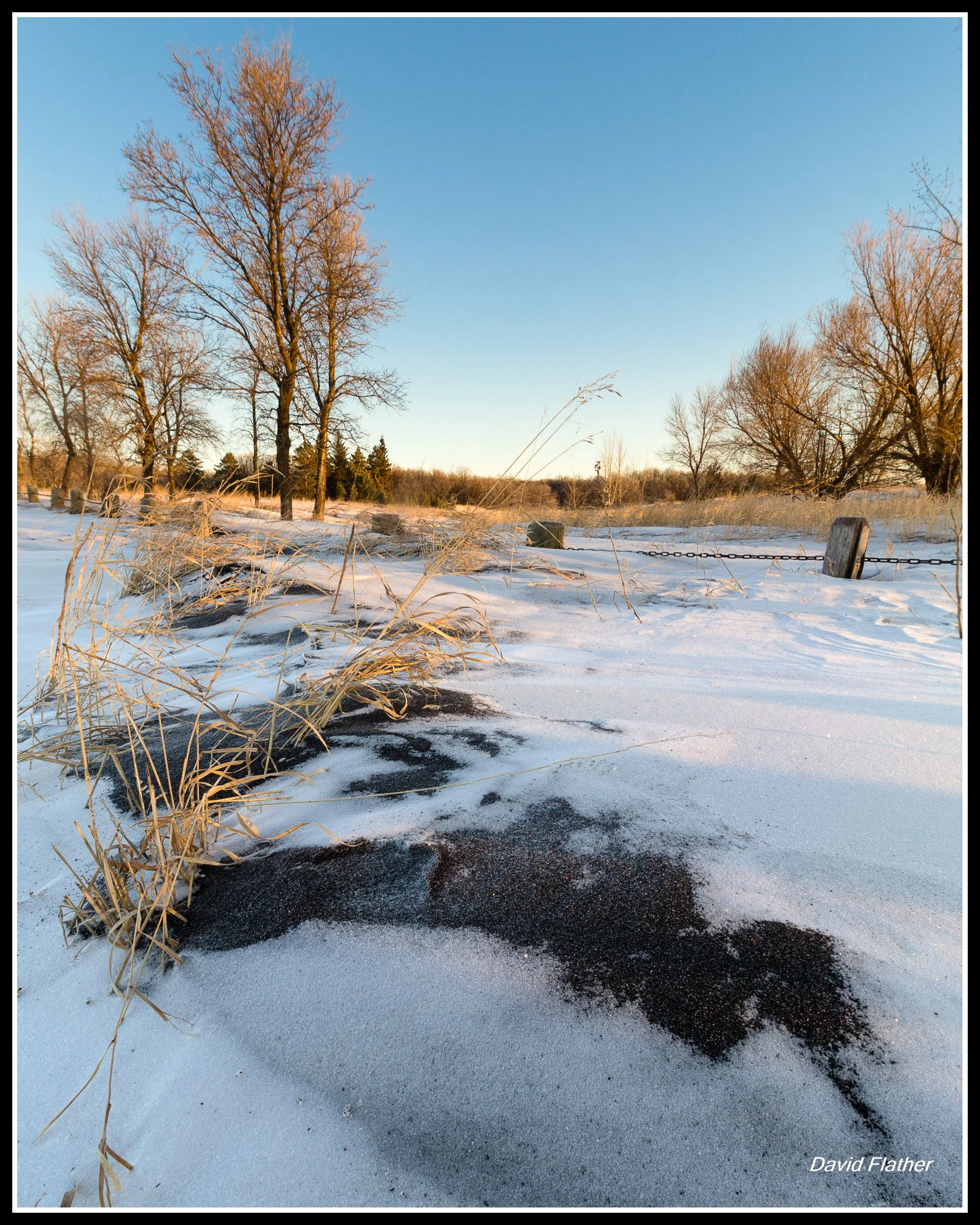 Winter landscape with soil drifted over snow, dry grasses in the foreground, leafless trees, and warm sunrise light across a quiet prairie scene.