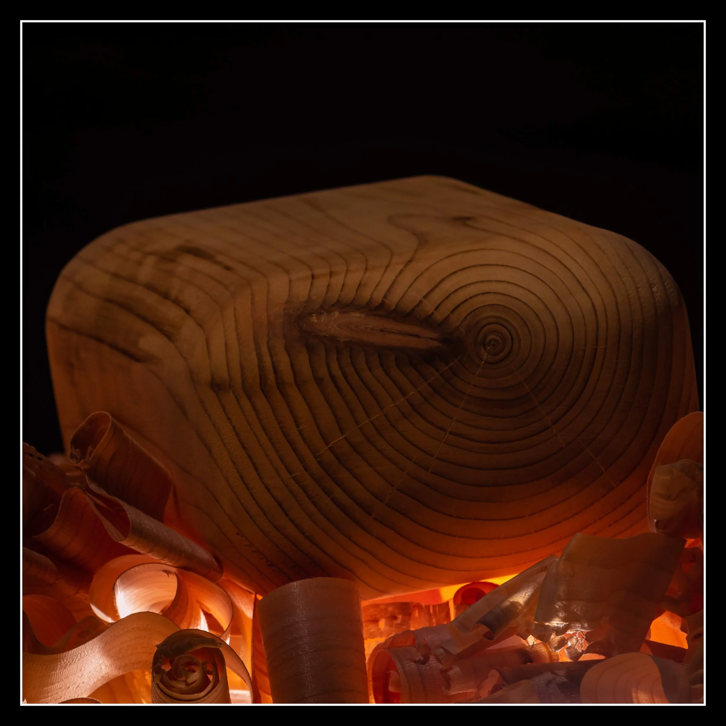 A cedar yoga block with visible growth rings and a spiral pattern in the center, surrounded by curled wood shavings.