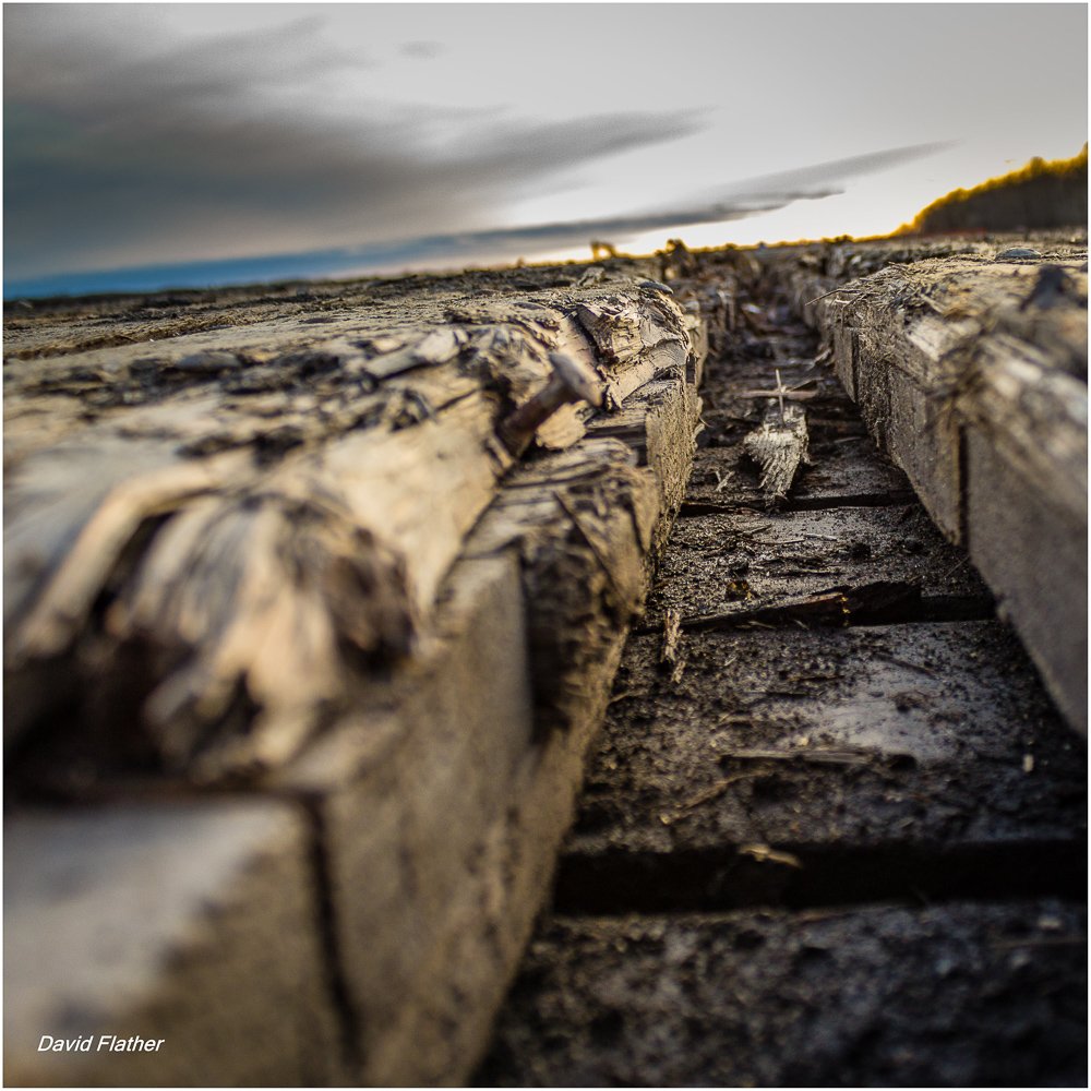 Weathered cross‑grain laminated wooden road mats used to support heavy machinery over soft ground, showing cracked boards and long perspective across the field.