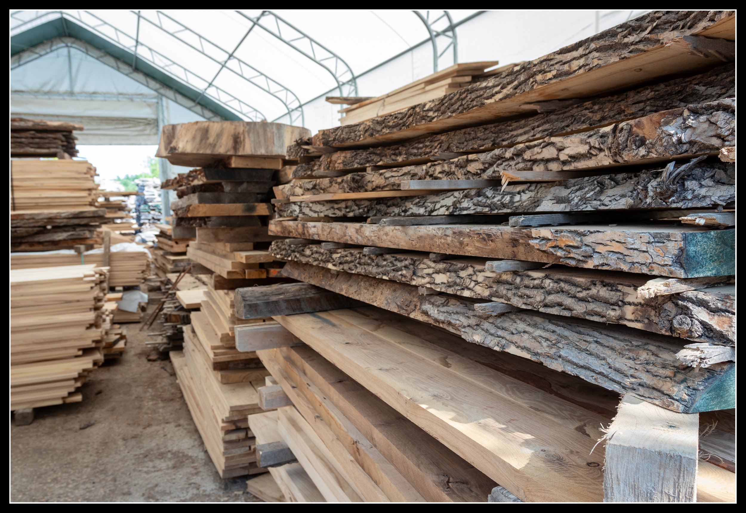 Kiln‑dried live‑edge elm slabs stacked for sale at Urban Lumber in Winnipeg.