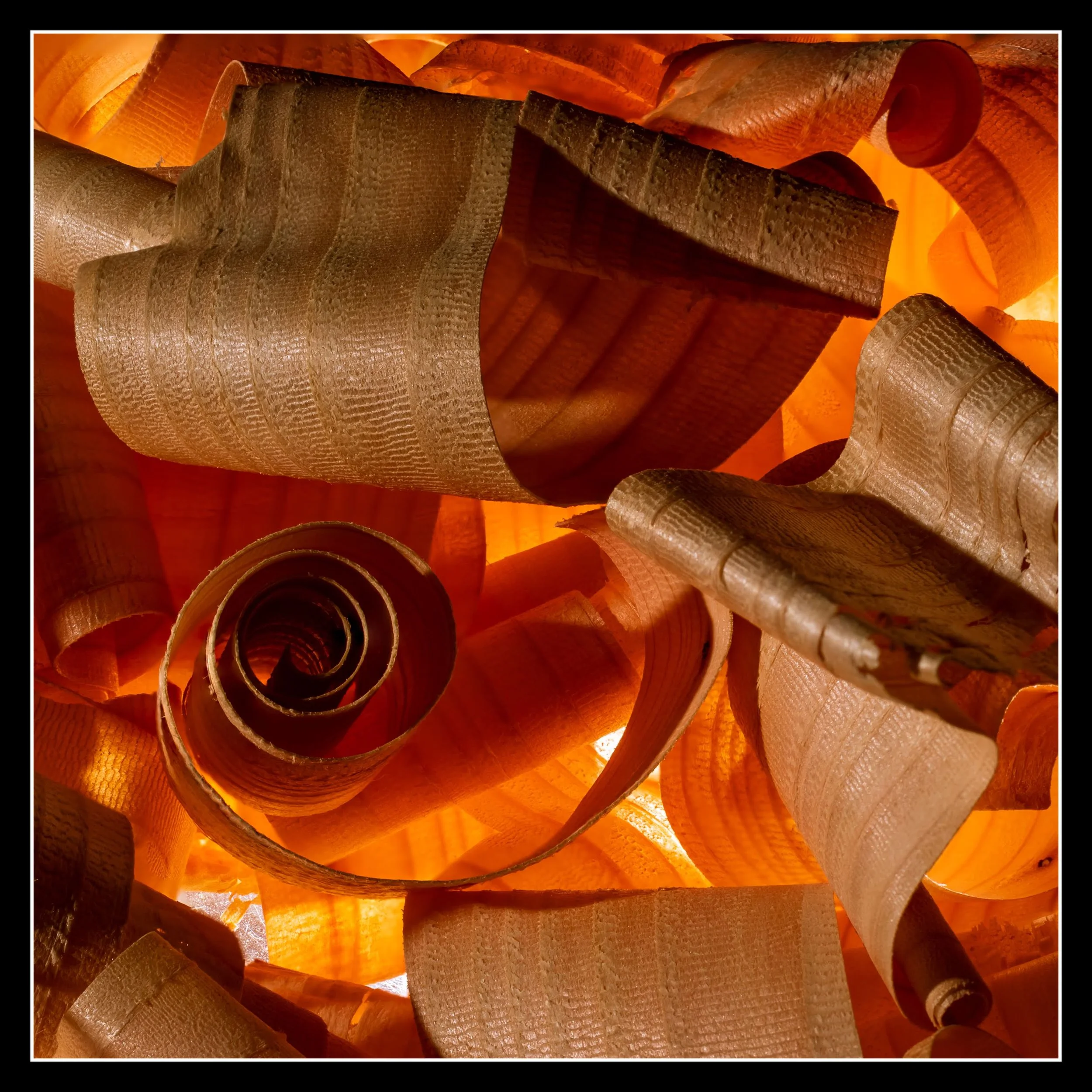 Close-up of curled wood shavings with warm orange and brown tones, illuminated from behind