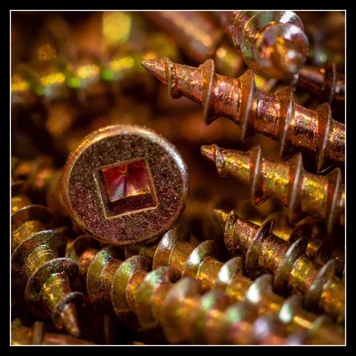 Close‑up of zinc‑coated Robertson (square‑drive) wood screws showing coarse threads, tapered points, and a square‑socket head.
