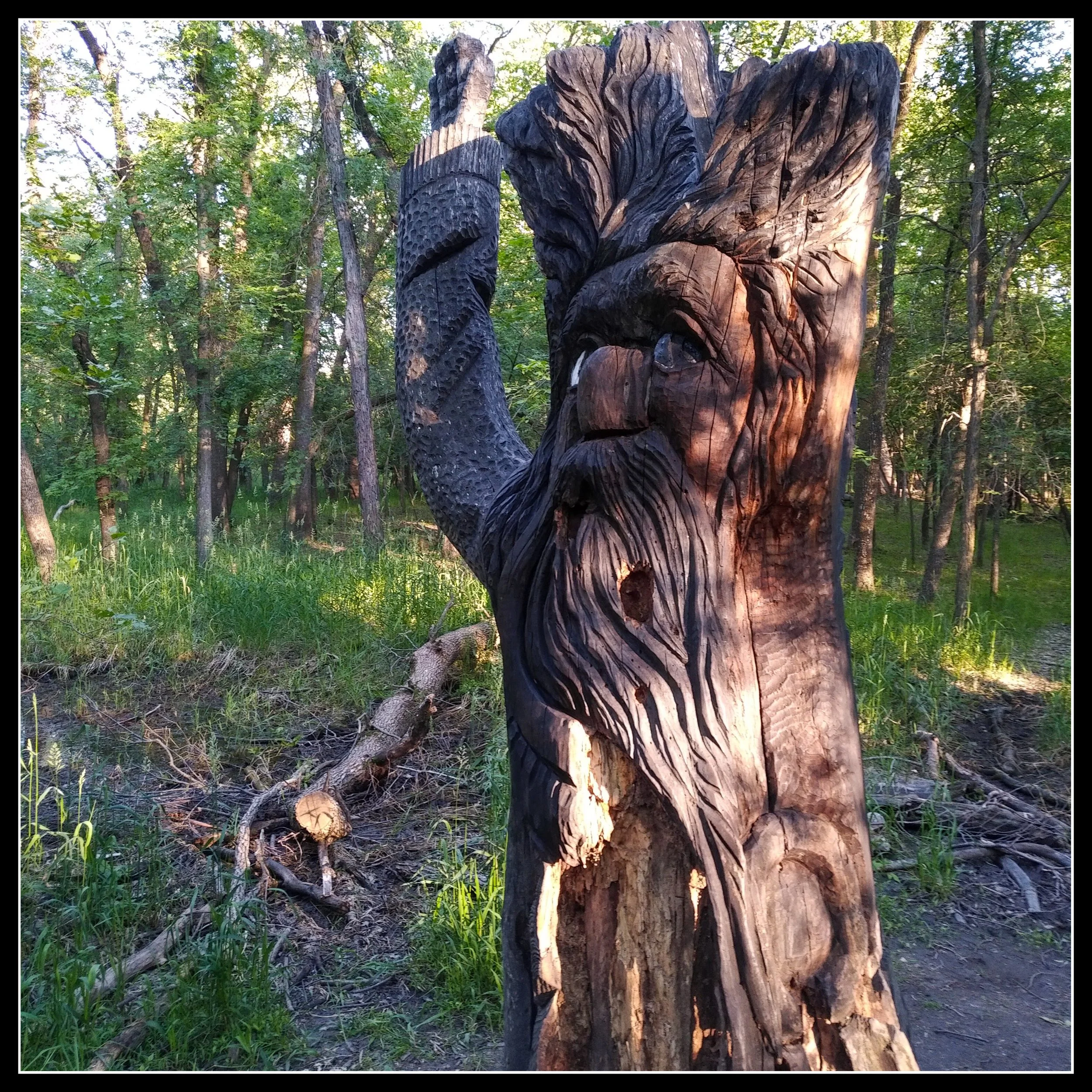 Carved old man figure emerging from a dead tree trunk in a forest, sunlight highlighting the detailed wood sculpture.