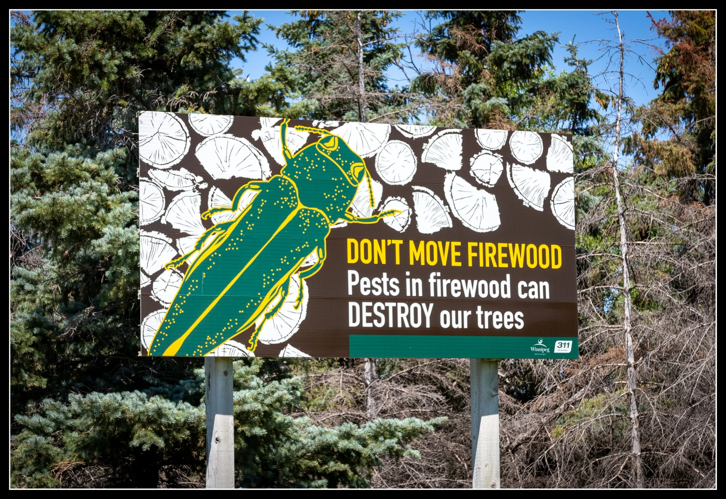 Highway sign warning motorists not to move firewood, featuring an image of the emerald ash borer.