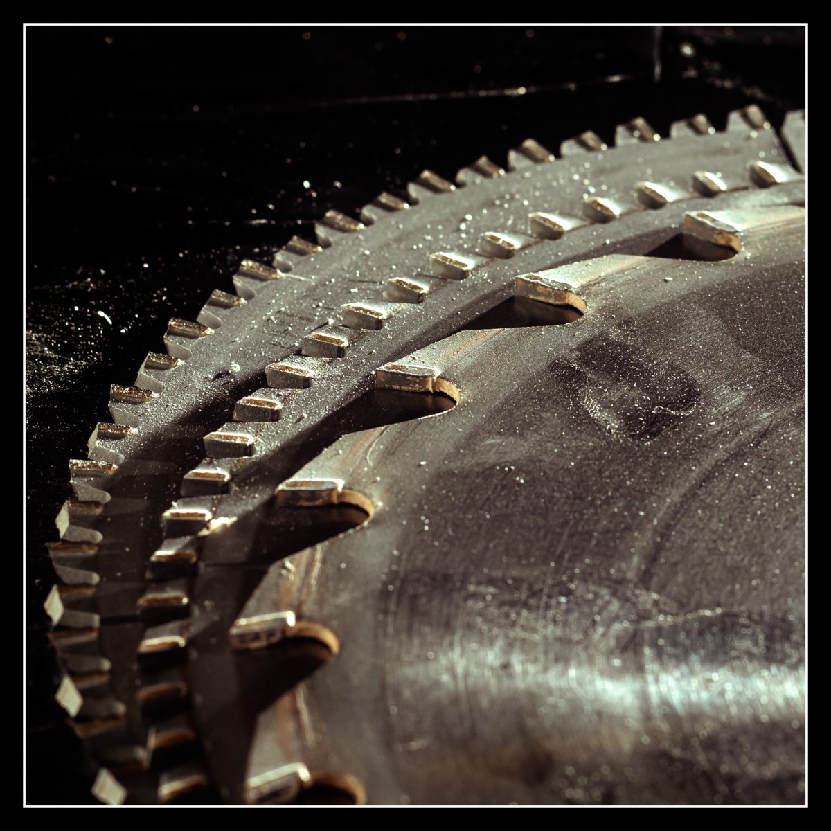 Saw blades photographed with low raking light on a black background, showing tooth detail and metallic texture.