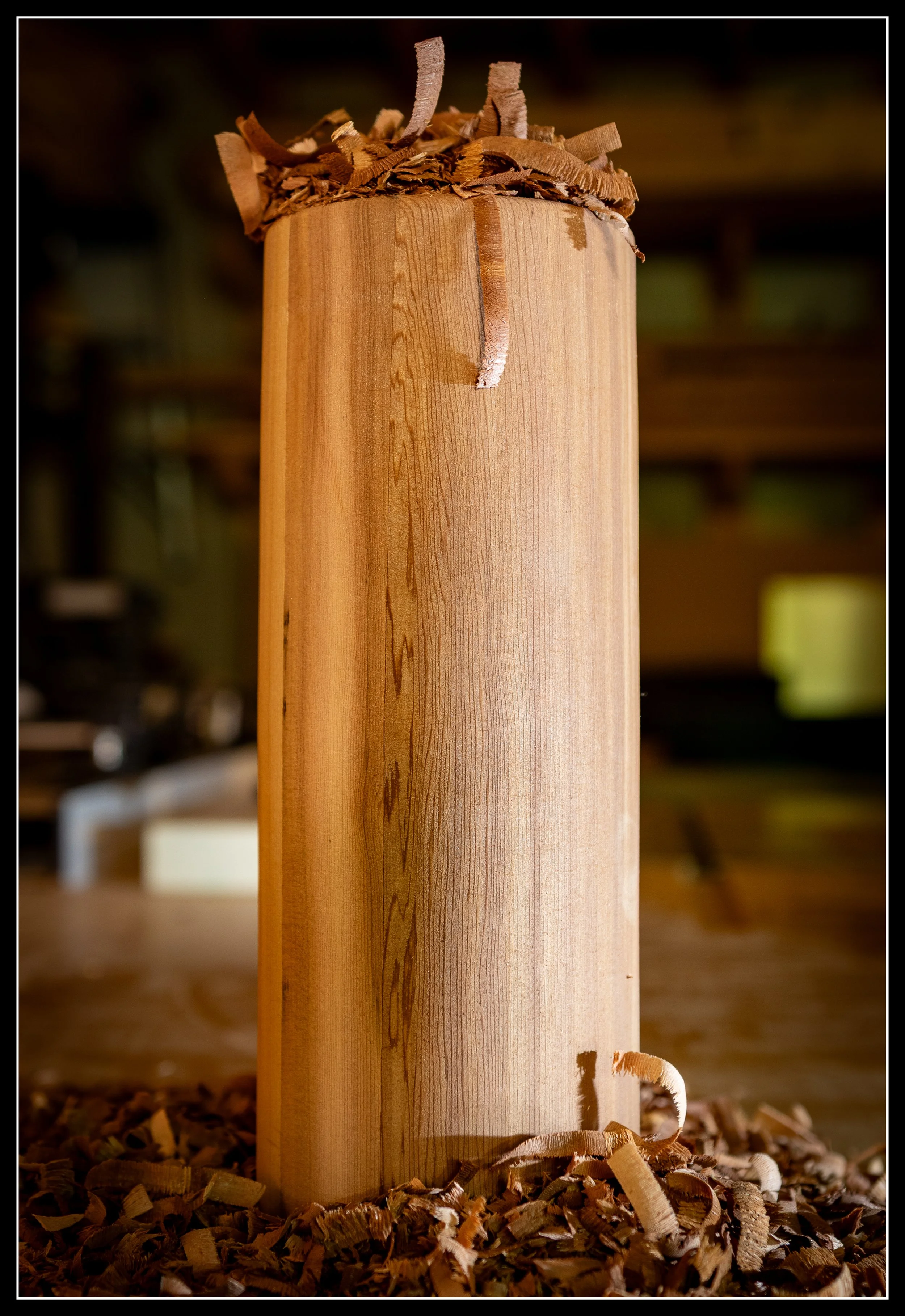 Round cedar yoga block with smooth turned surface and fresh shavings, showing warm grain and shop‑built craftsmanship.