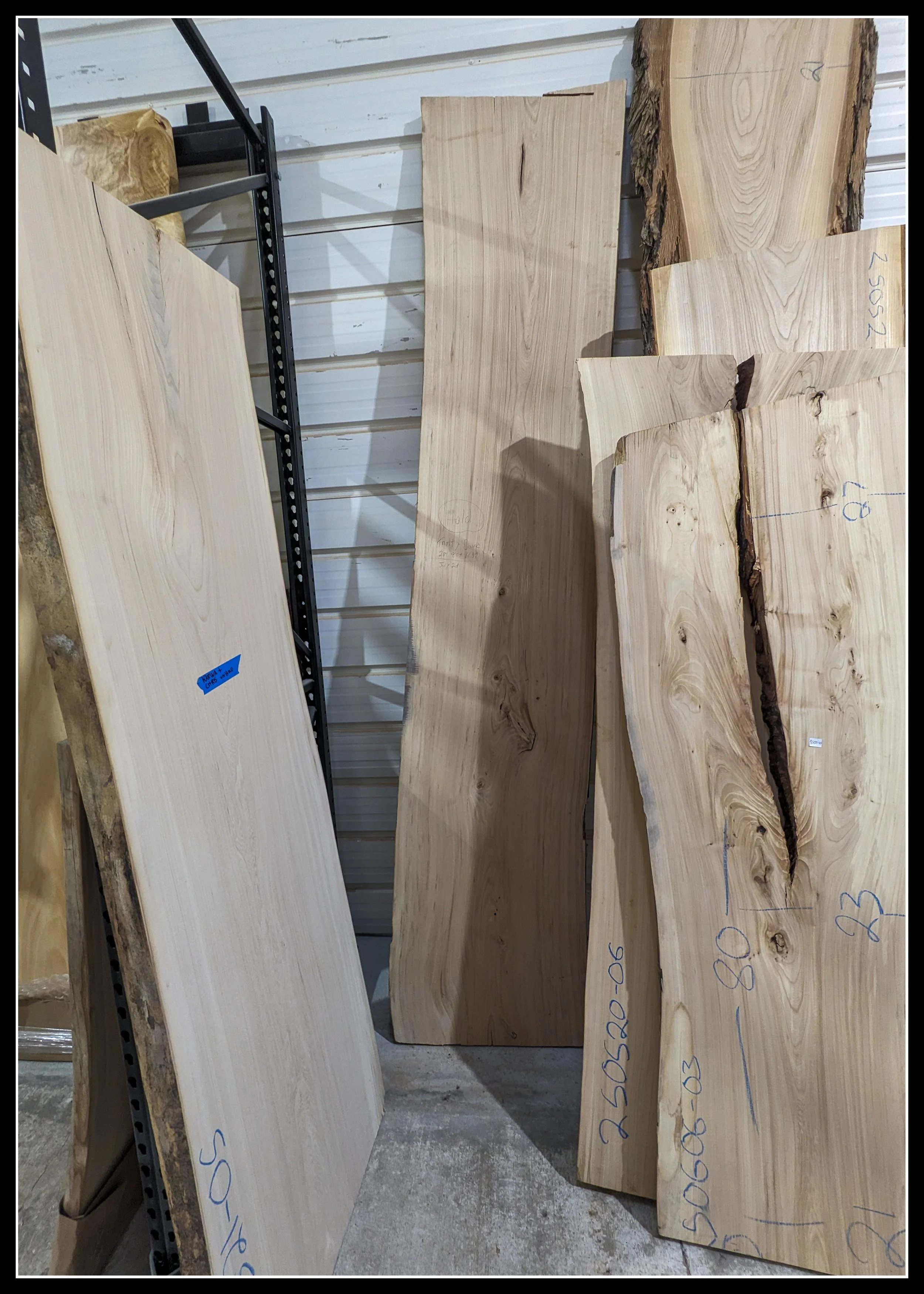 Large elm slabs leaning in a workshop, showing wide boards, natural edges, and markings from milling, salvaged from trees lost to Dutch elm disease.