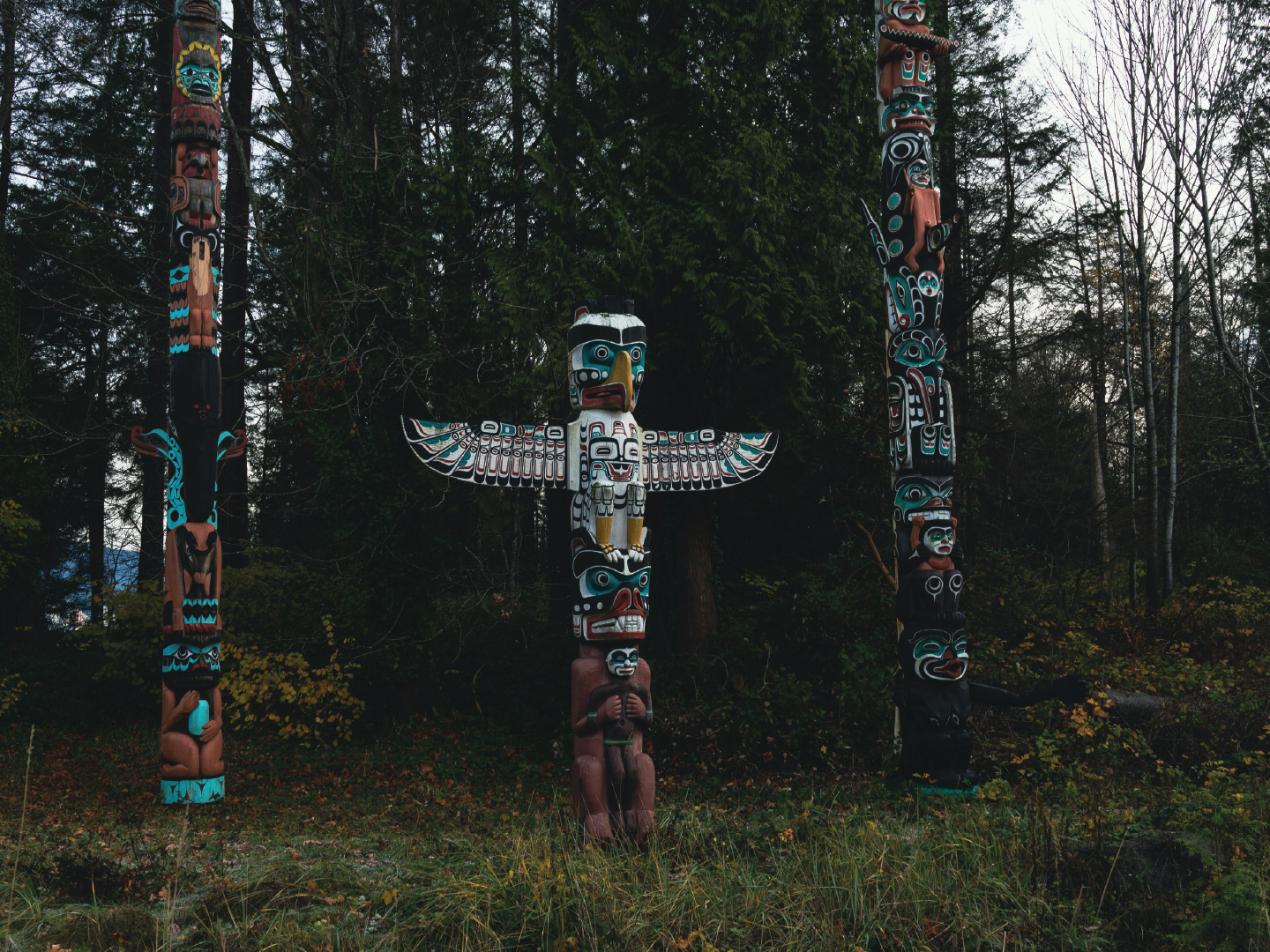 Three large totem poles with intricate Native American carvings and symbols, set against a forest background.