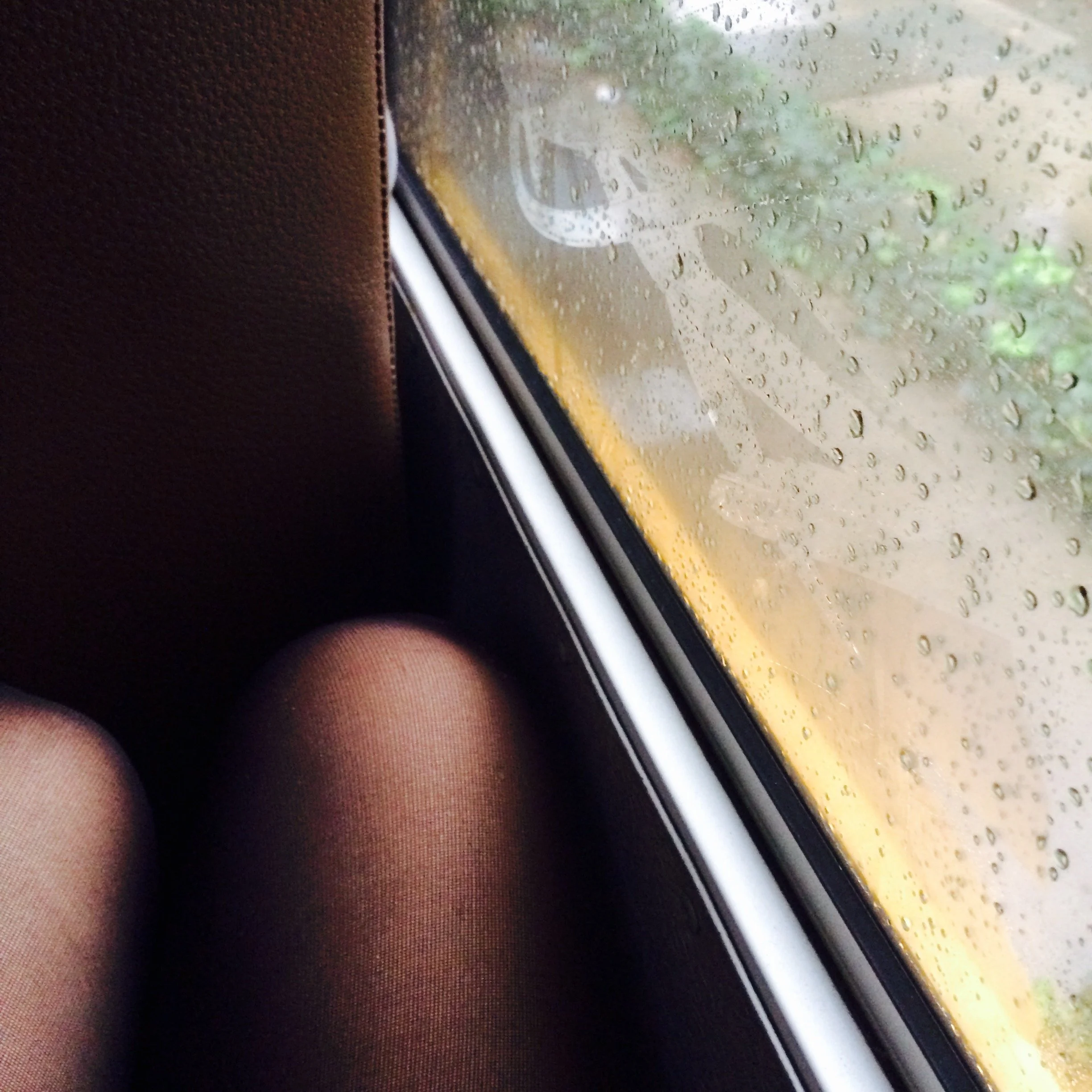 American School Bus (2014)