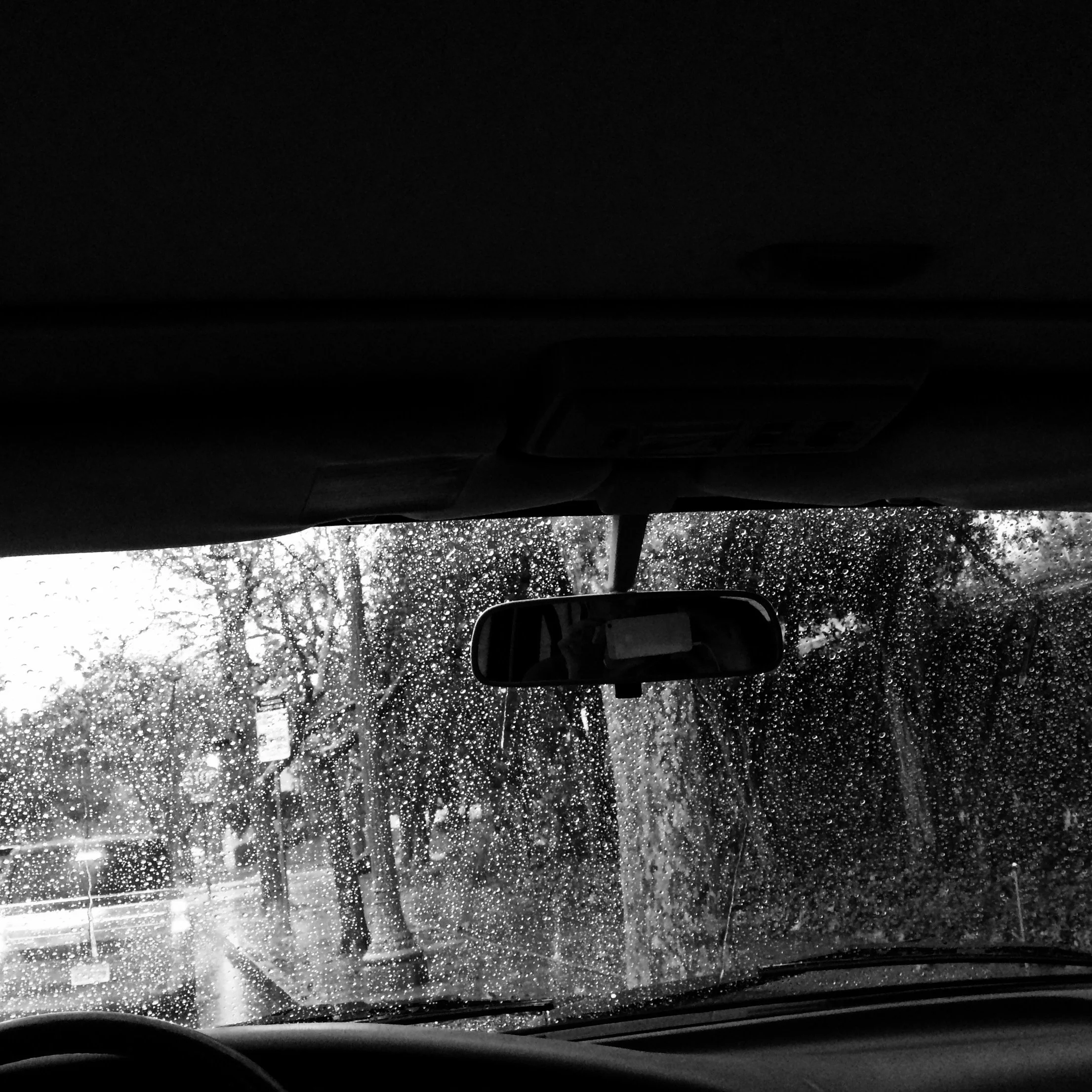 Rain in Los Angeles (2014)