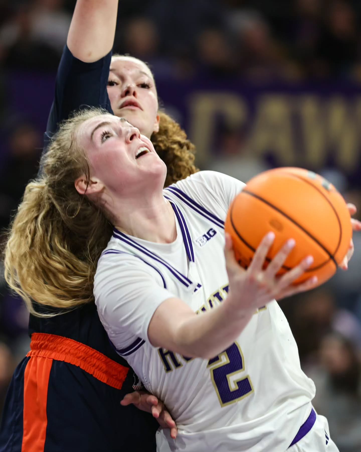 University of Illinois Fighting Illini at University of Washington Huskies 
February 1, 2026
for @circlingseattlesports