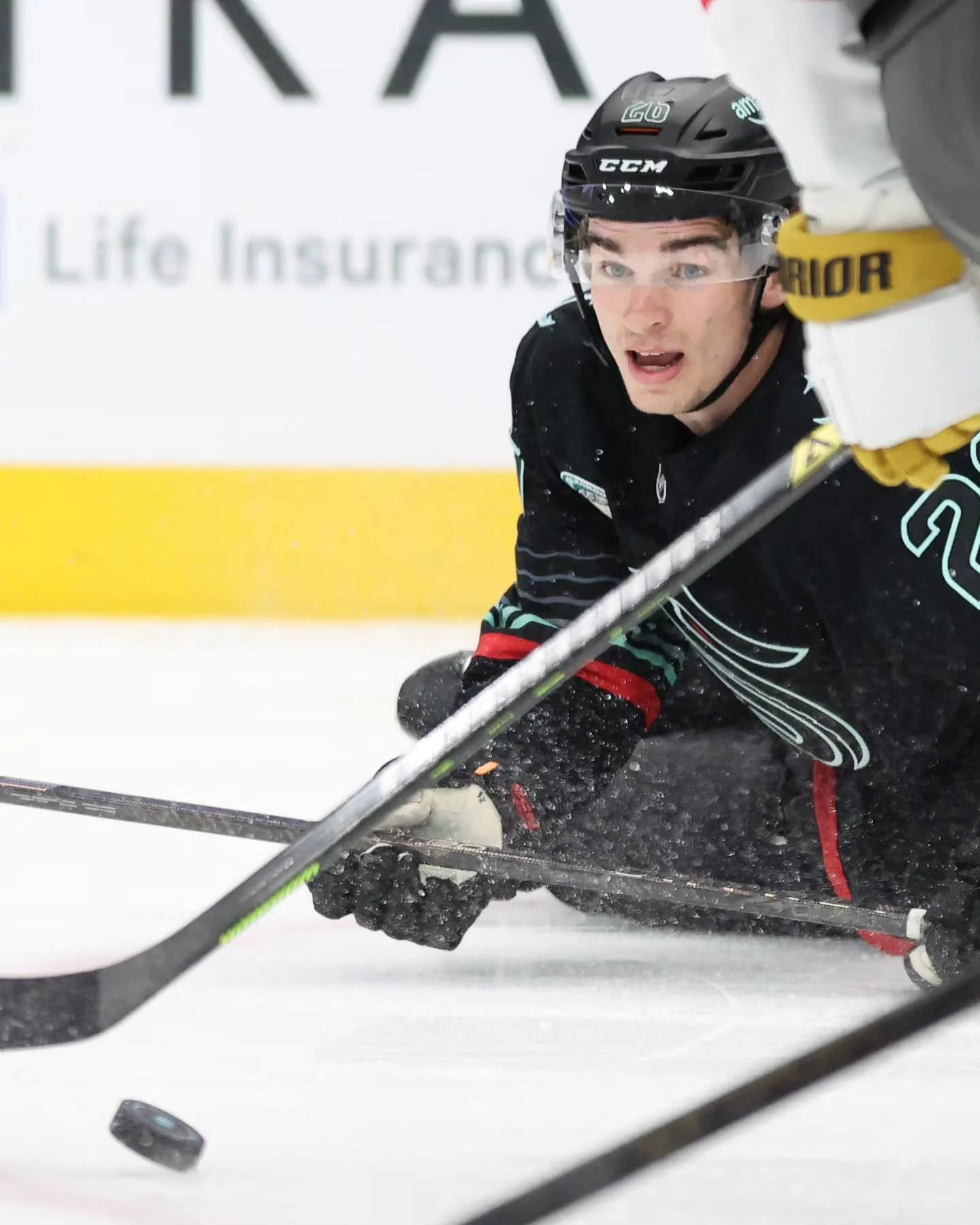 Vegas Golden Knights at Seattle Kraken 
April 9, 2026
for @circlingseattlesports