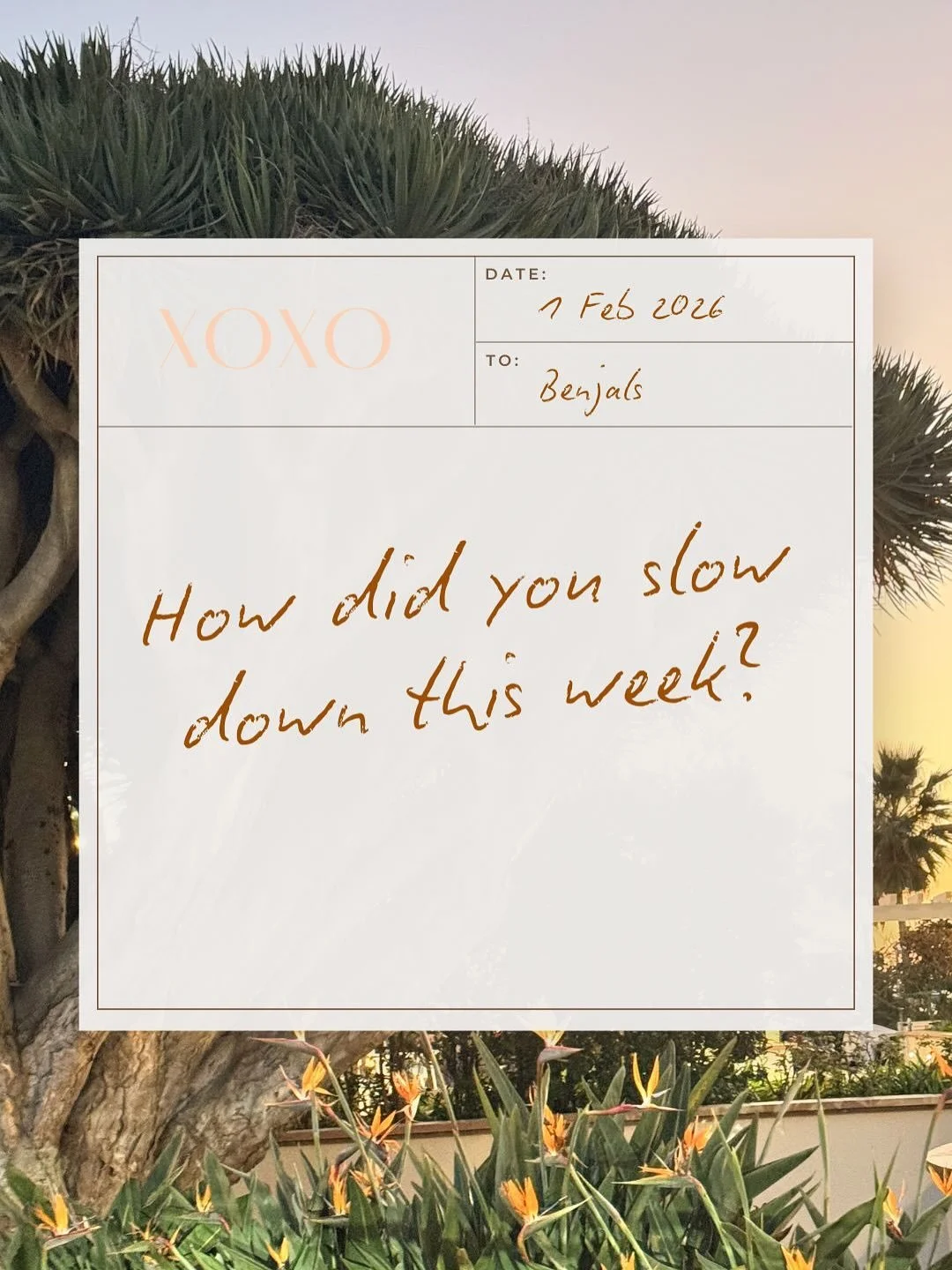 Sunset walks, flowers, starting 1 canvas, finish another, x-dirty marts 🫒 w your parents, meditation (plural), and a coffee run 

Happy Sunday, how&rsquo;d you get rid of your scaries?