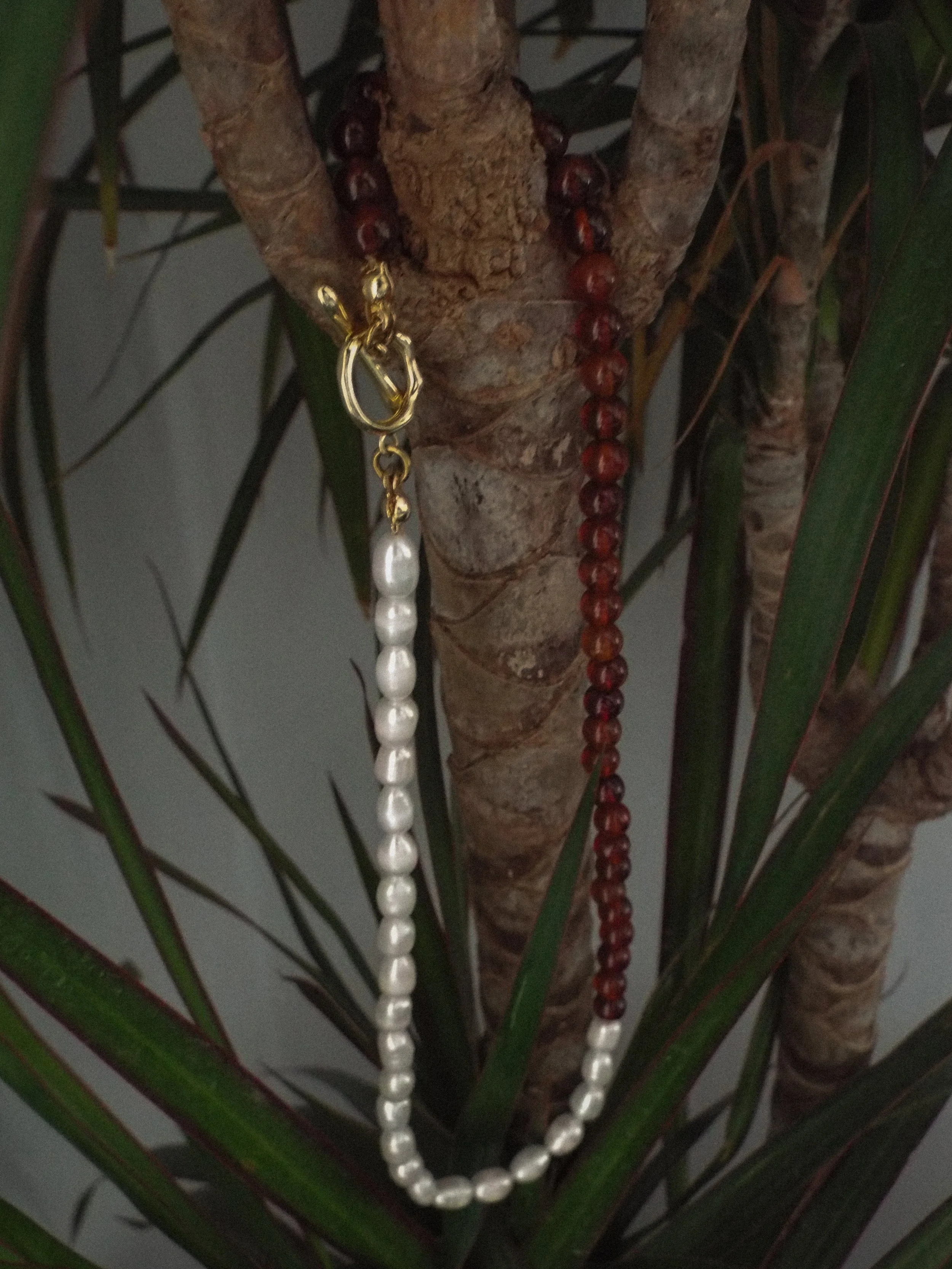 DSCF4396.JPG