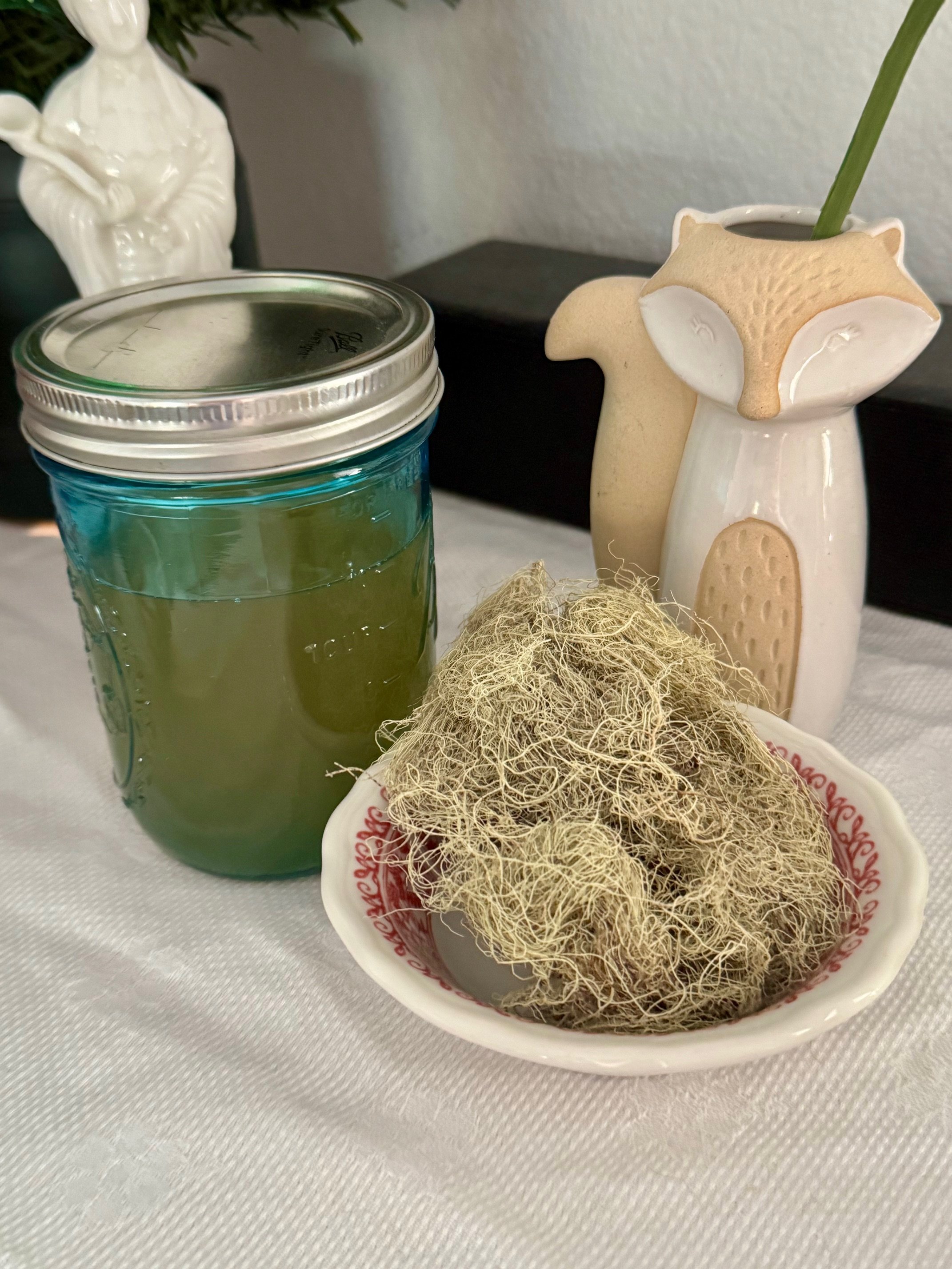 Immune Defense Tincture