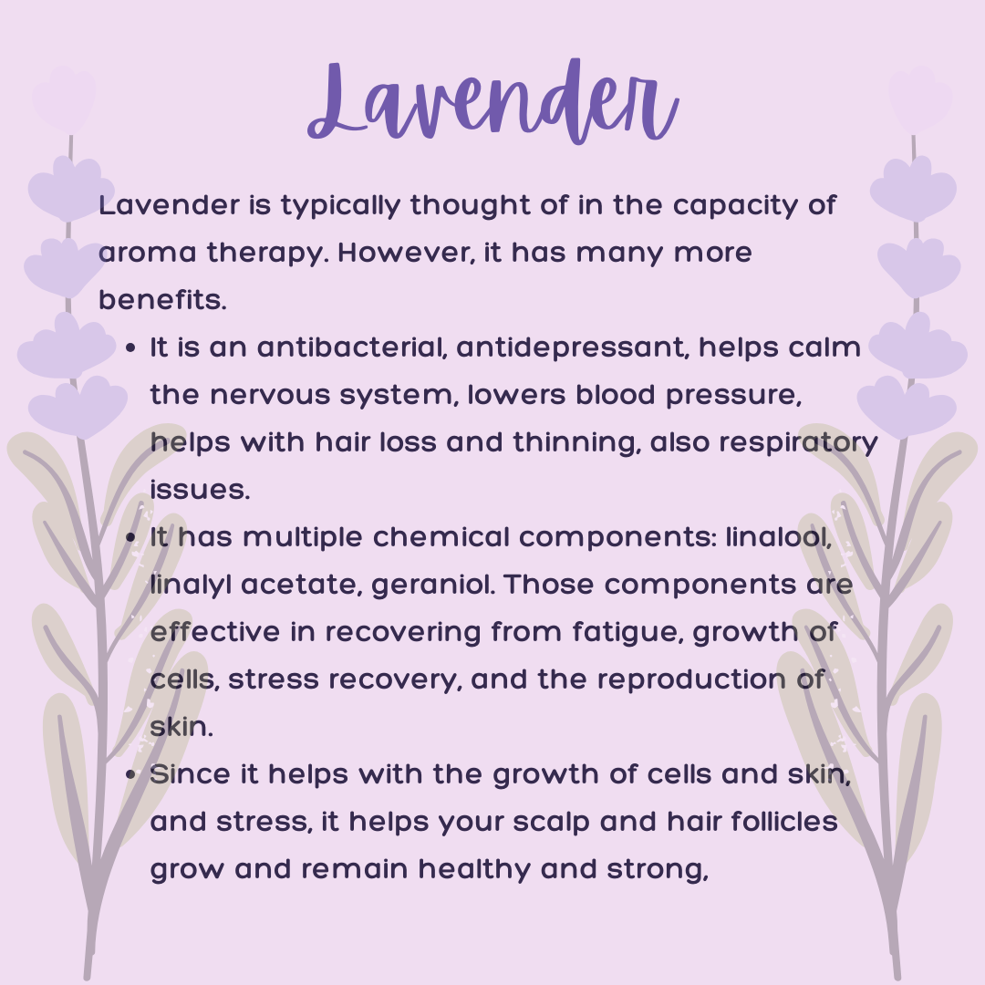 Lavender hair growth info (1).png