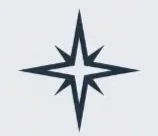 A stylized star-shaped emblem with eight points, black on a light background.