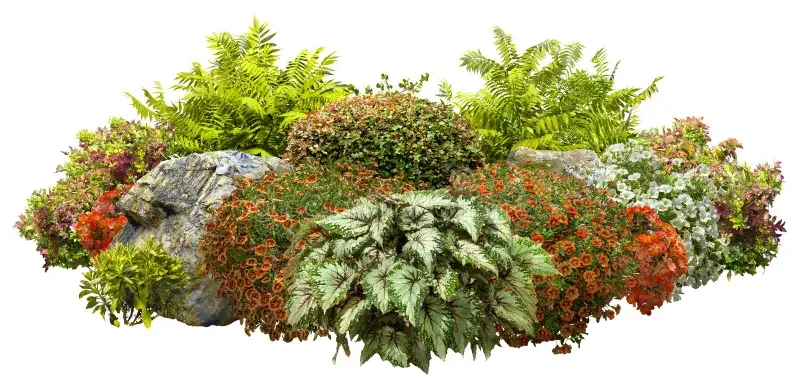 A lush garden arrangement with various green foliage, colorful flowers, and rocks.