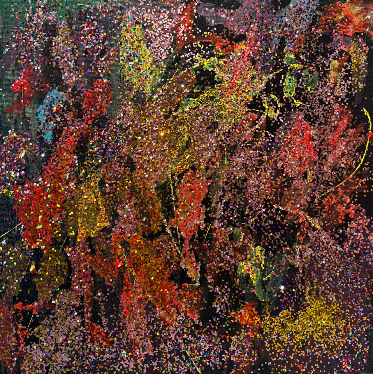 Deyu Kong | Brilliant Stars