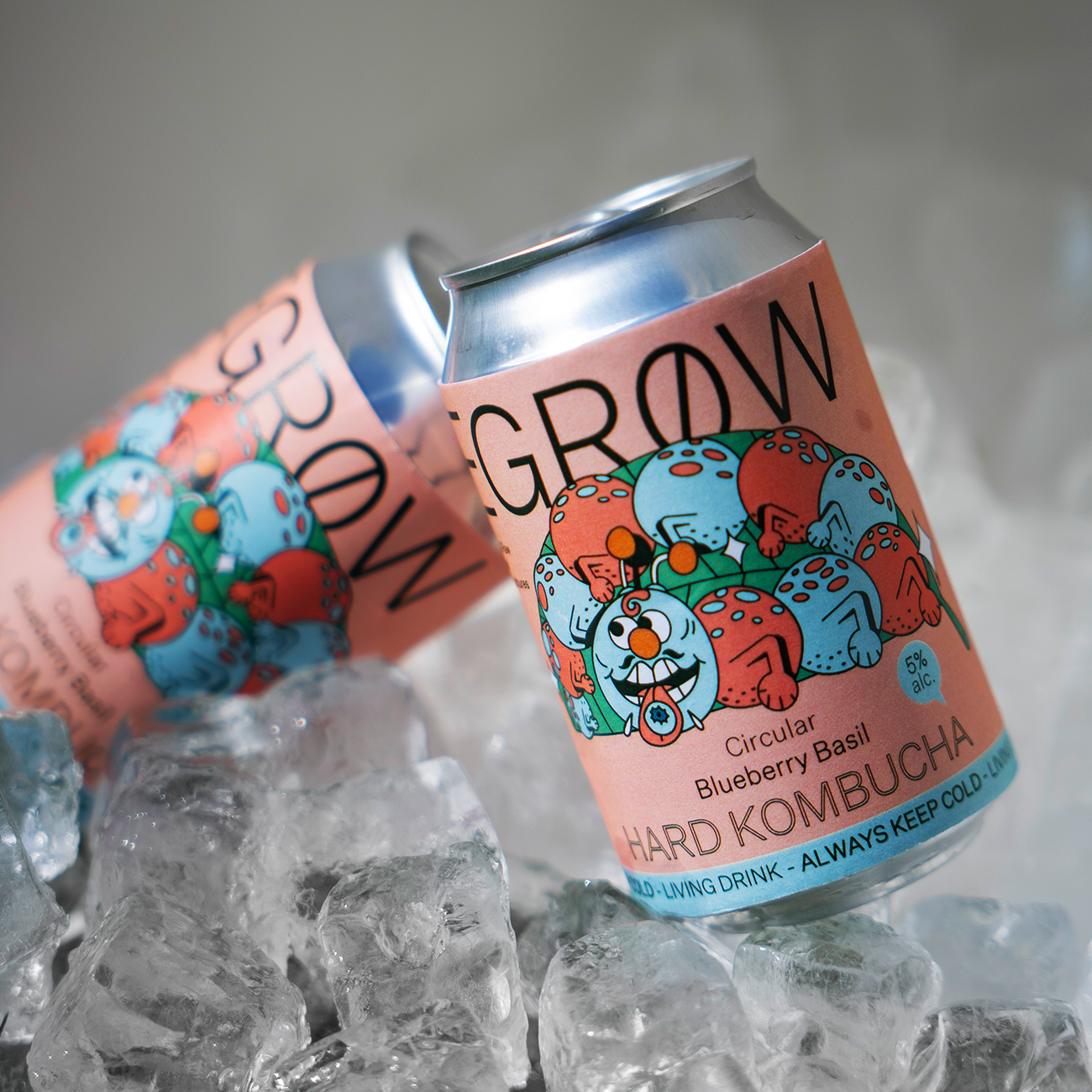 Degrow Lab - Hard Kombucha