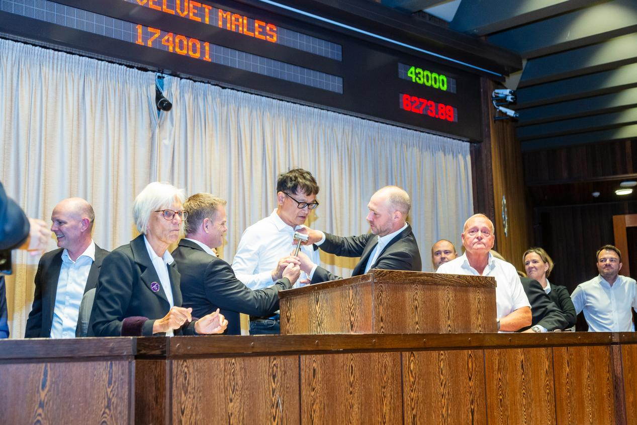 The First Top Lot of the 2026 Kopenhagen Fur Auction Makes a Dazzling Debut — Top Lot Auction Schedule Released