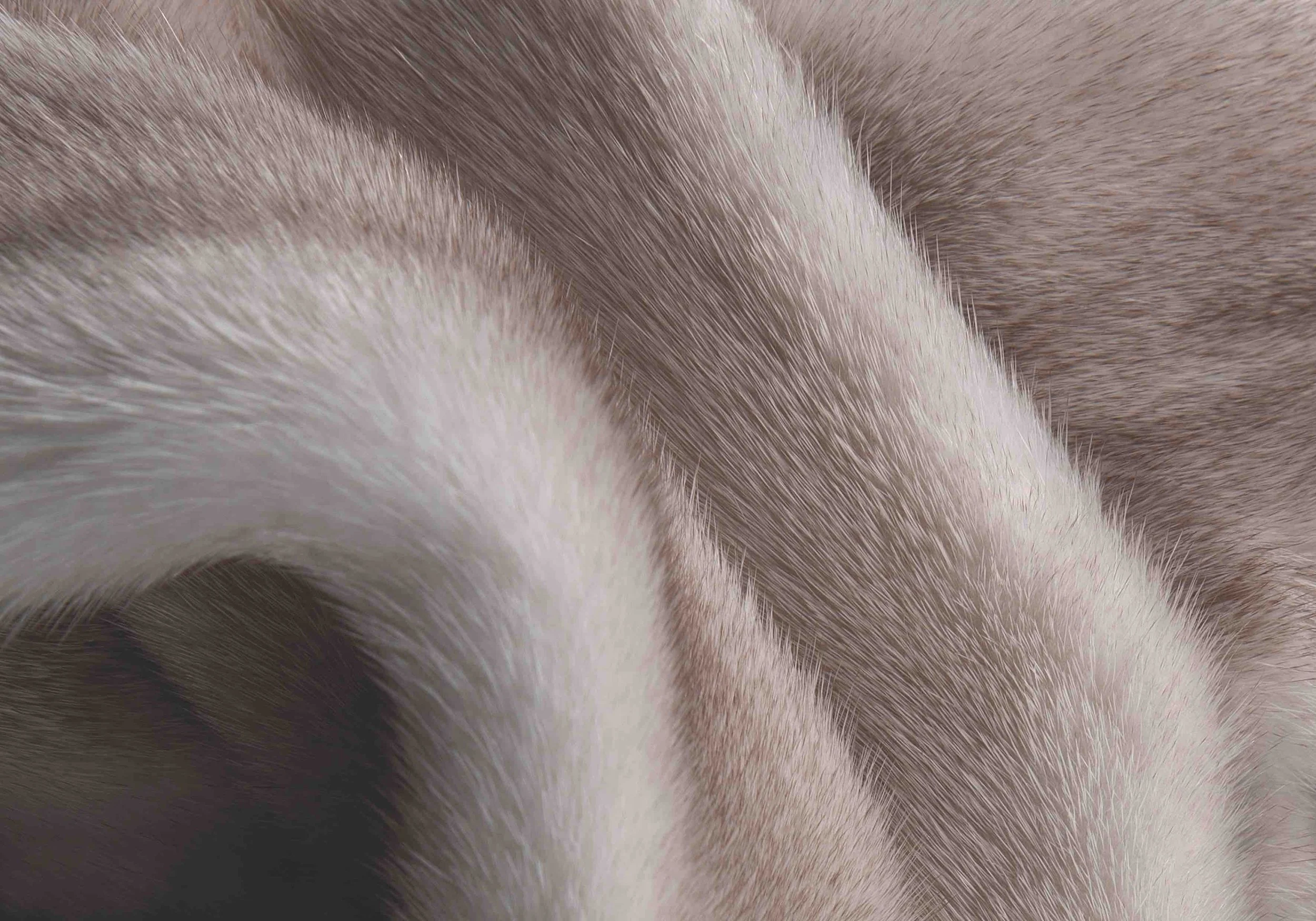 Notice on the Introduction of New Kopenhagen Fur Quality Labels