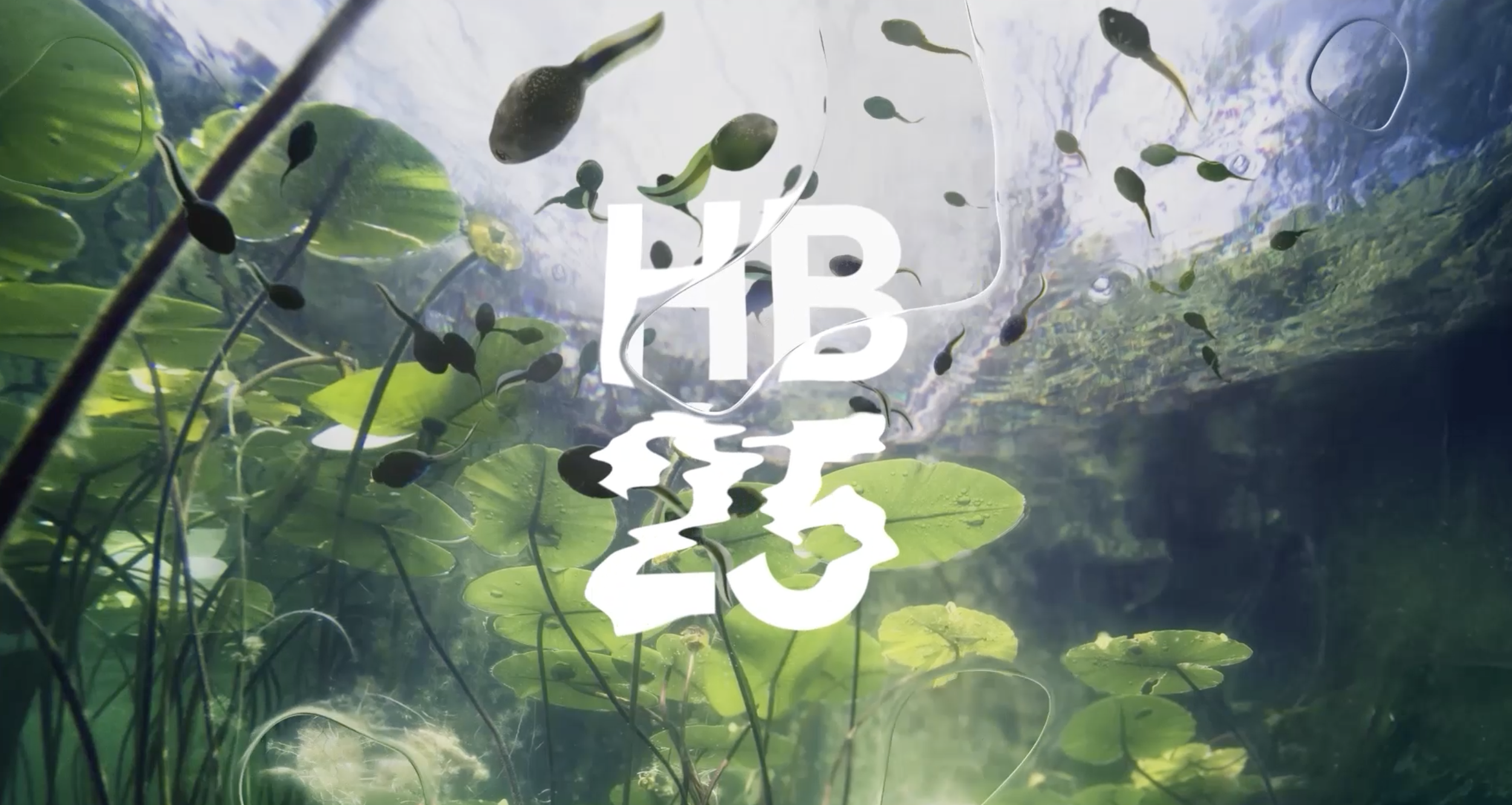 Helsinki Biennial 2025. Underwater scene with green aquatic plants and numerous small tadpoles swimming. The background is water with sunlight filtering through.