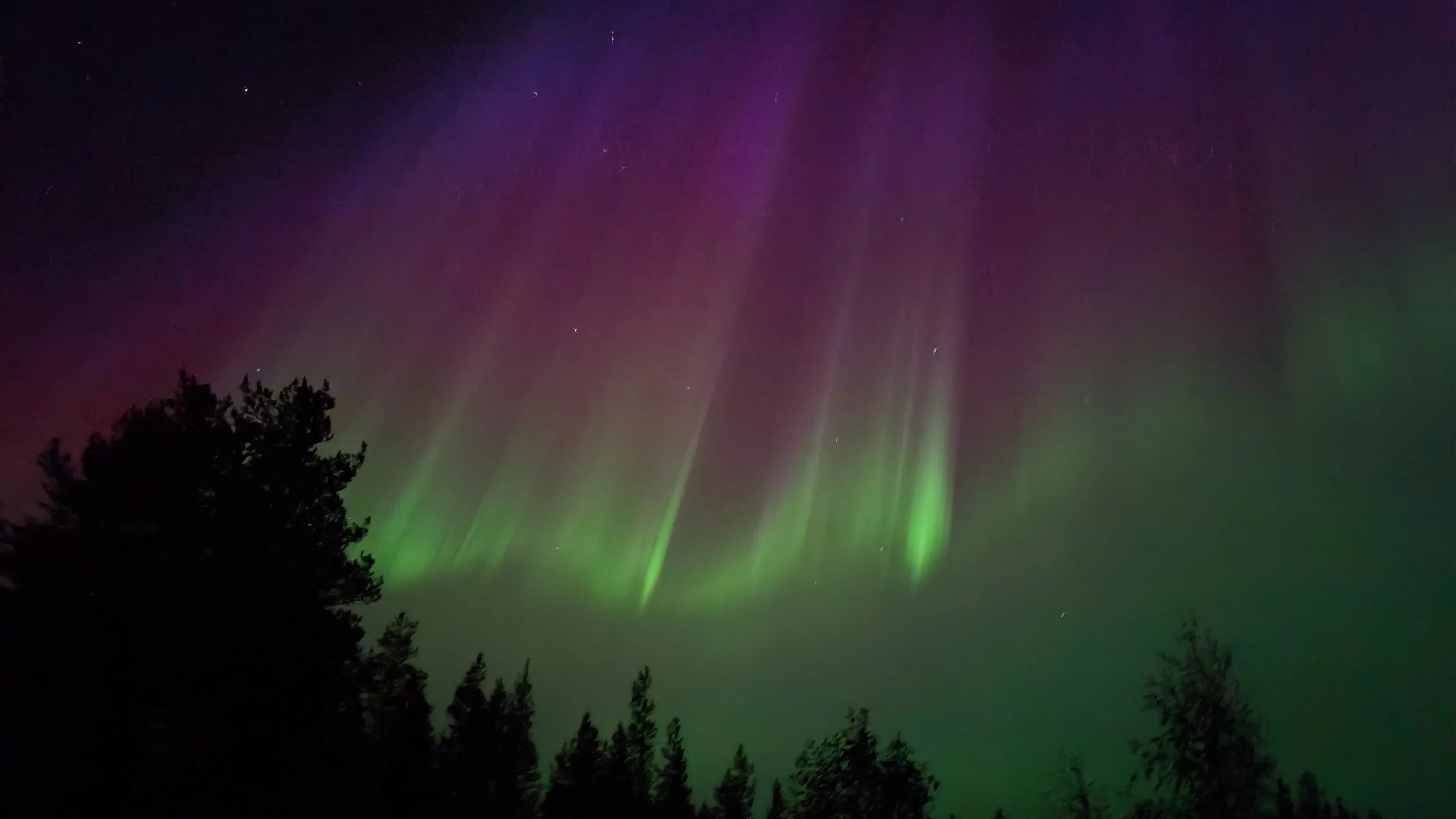 IMG20240912220106 - Kopie.jpg