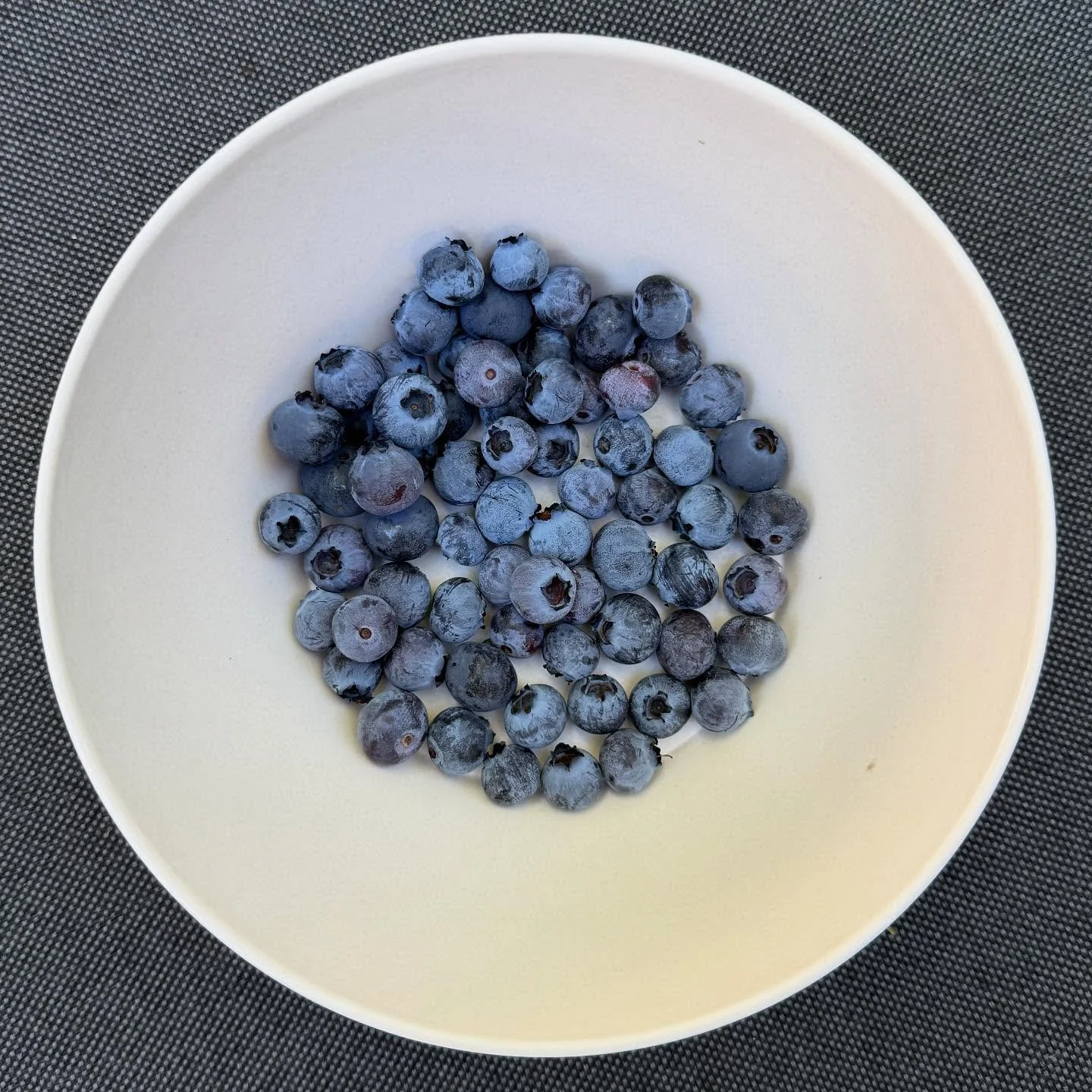 Blauwe bessen / Blue berries