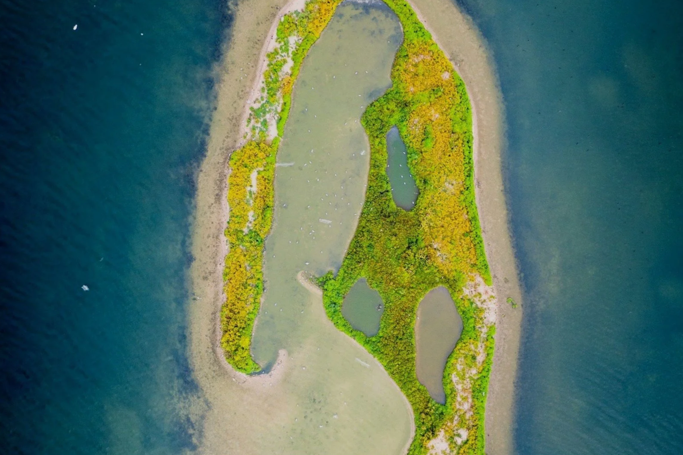 International Resort Asset