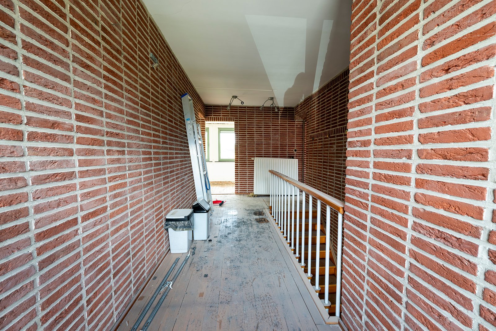 _DSC8150.jpg