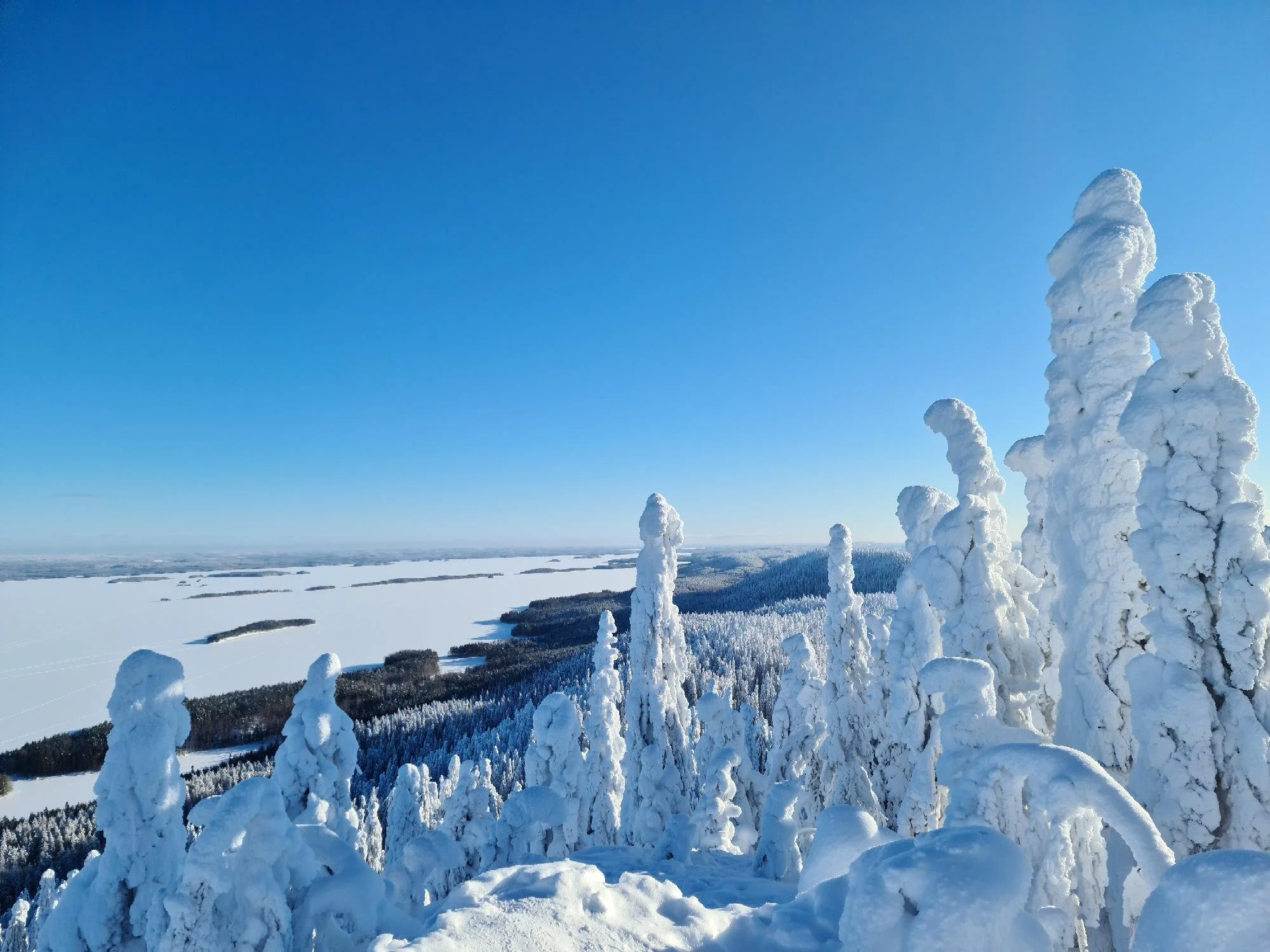 koli ukko-koli nationalpark sauna savusauna kansallispuisto vuokrasauna mökki