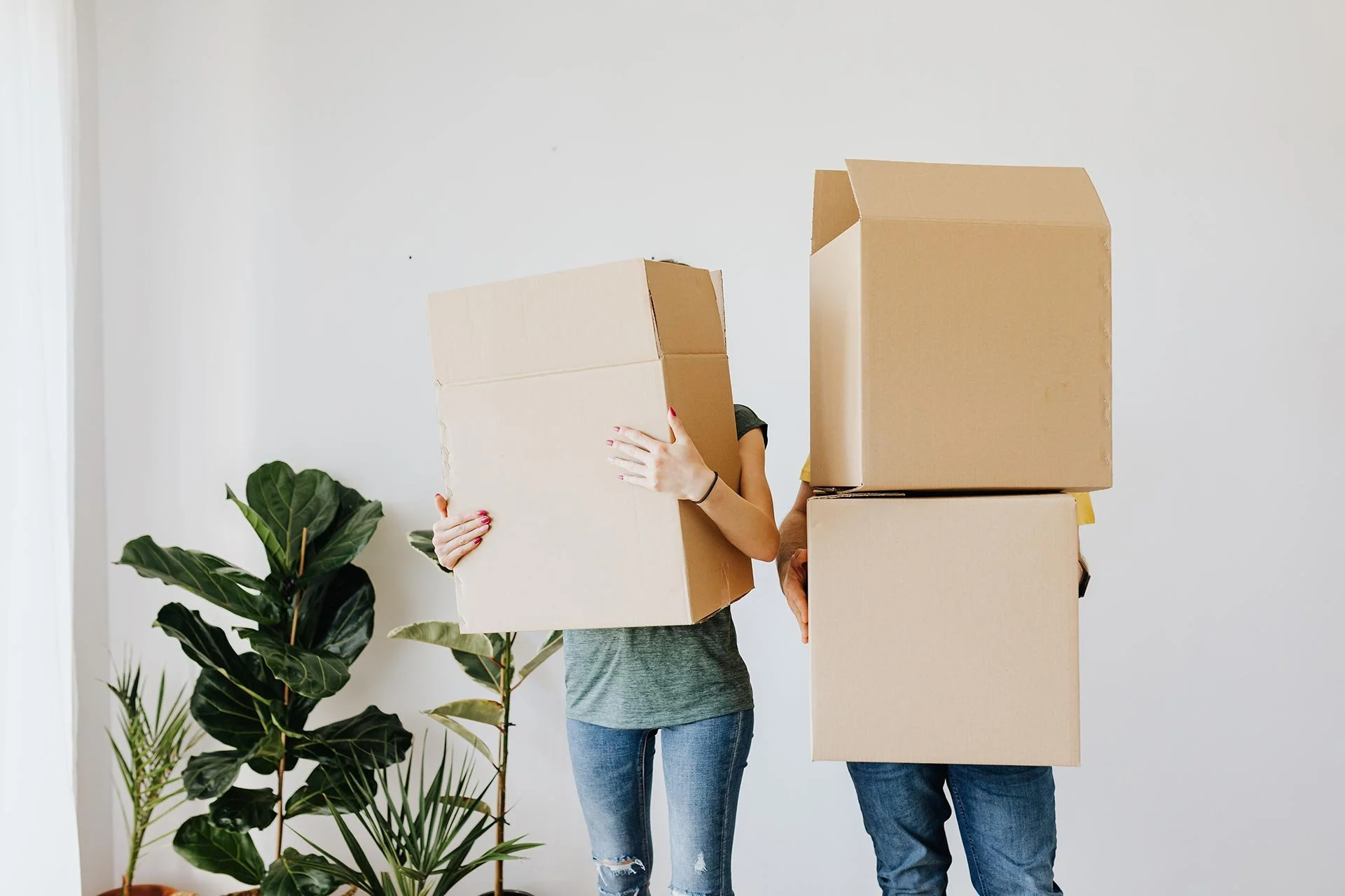 Two people moving with large cardboard boxes in a bright room with green houseplants.