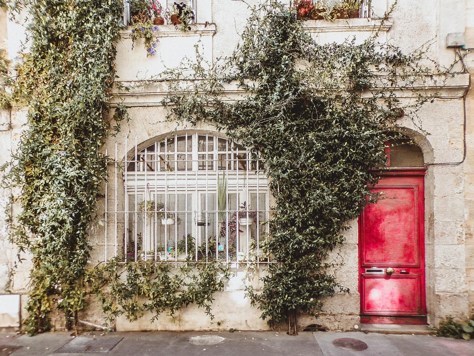 An old building facade with a red door and a window with white iron bars, surrounded by climbing plants and vines.