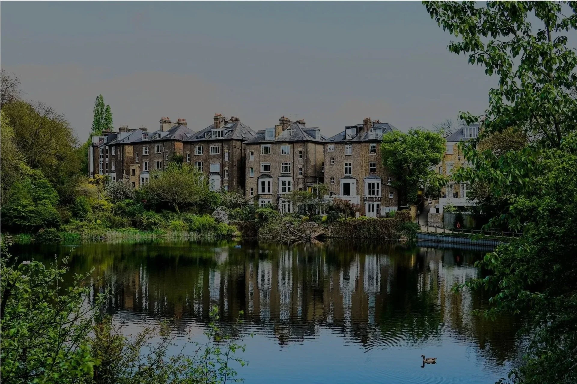 Residential buildings along a river with lush trees and a swan swimming on the water.