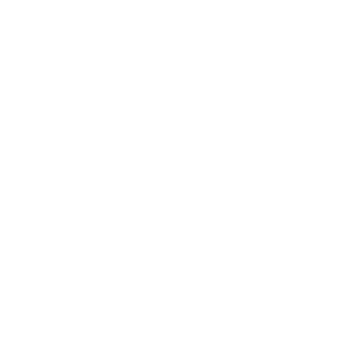 Outline of a house with an electric power symbol inside, indicating an energy or power-related concept.