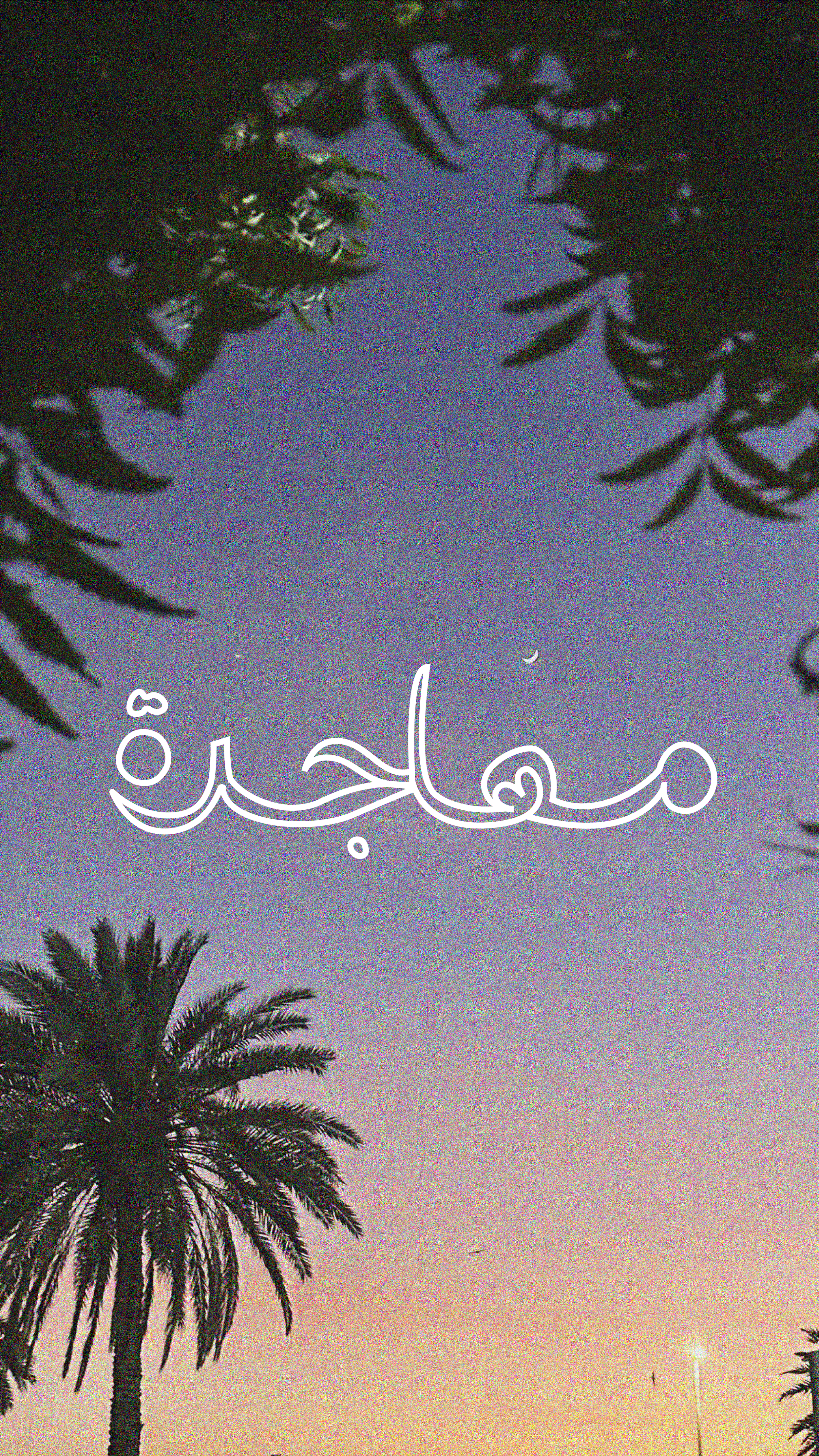 Archtype Women-34.png