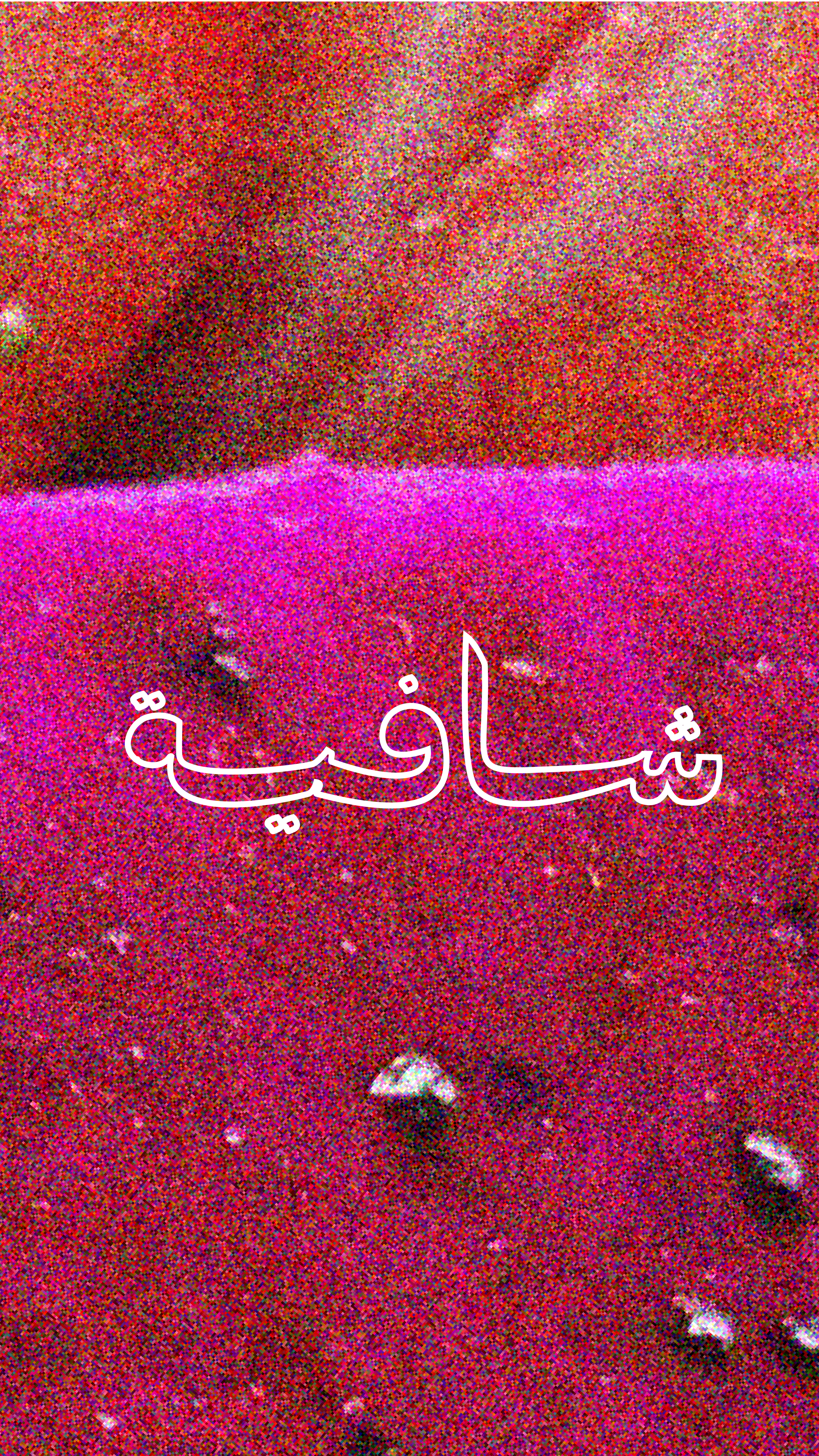 Archtype Women-31.png