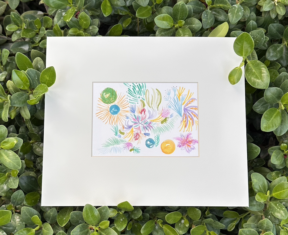 مجموعة نسمة ربيع