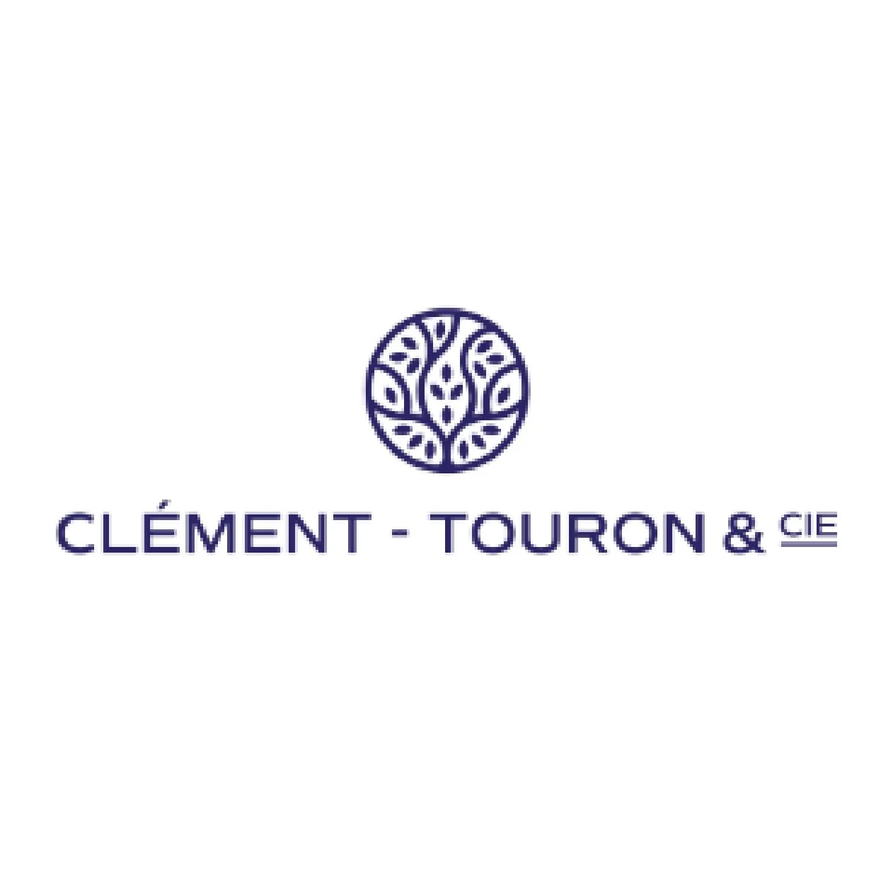Cabinet Clément Touron
