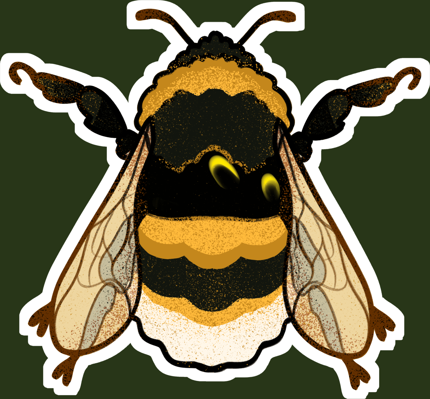 Insect Themed Merchandise