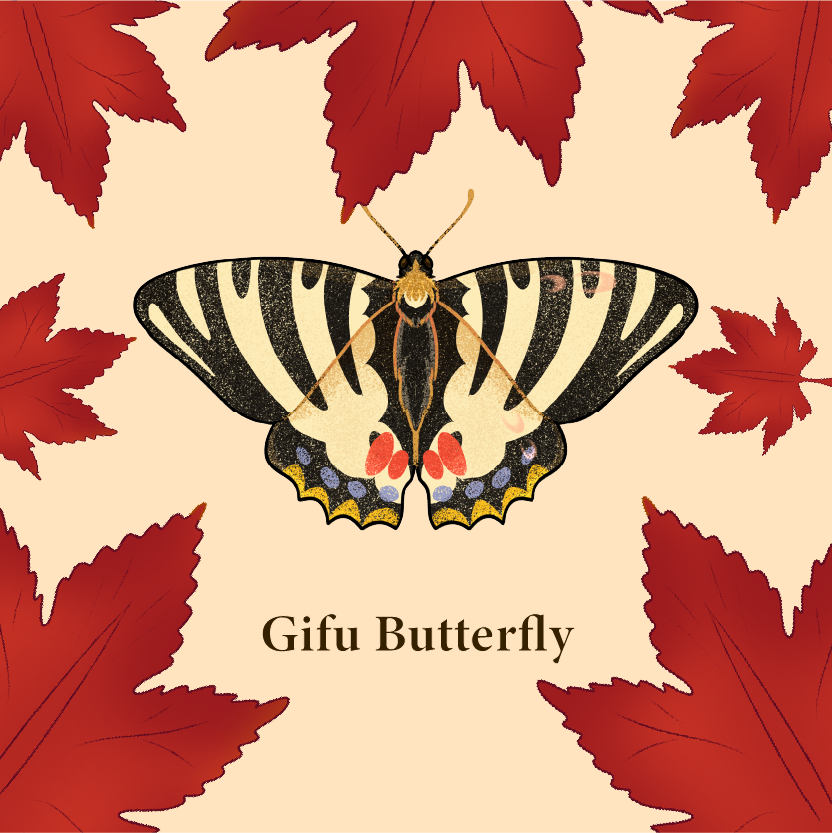 Insect Themed Memory Game