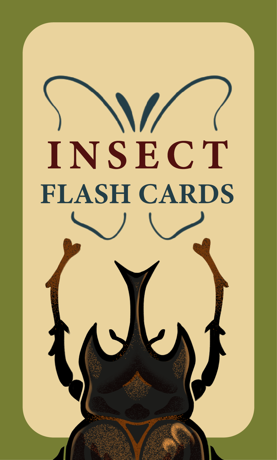 Insect Themed Flashcards