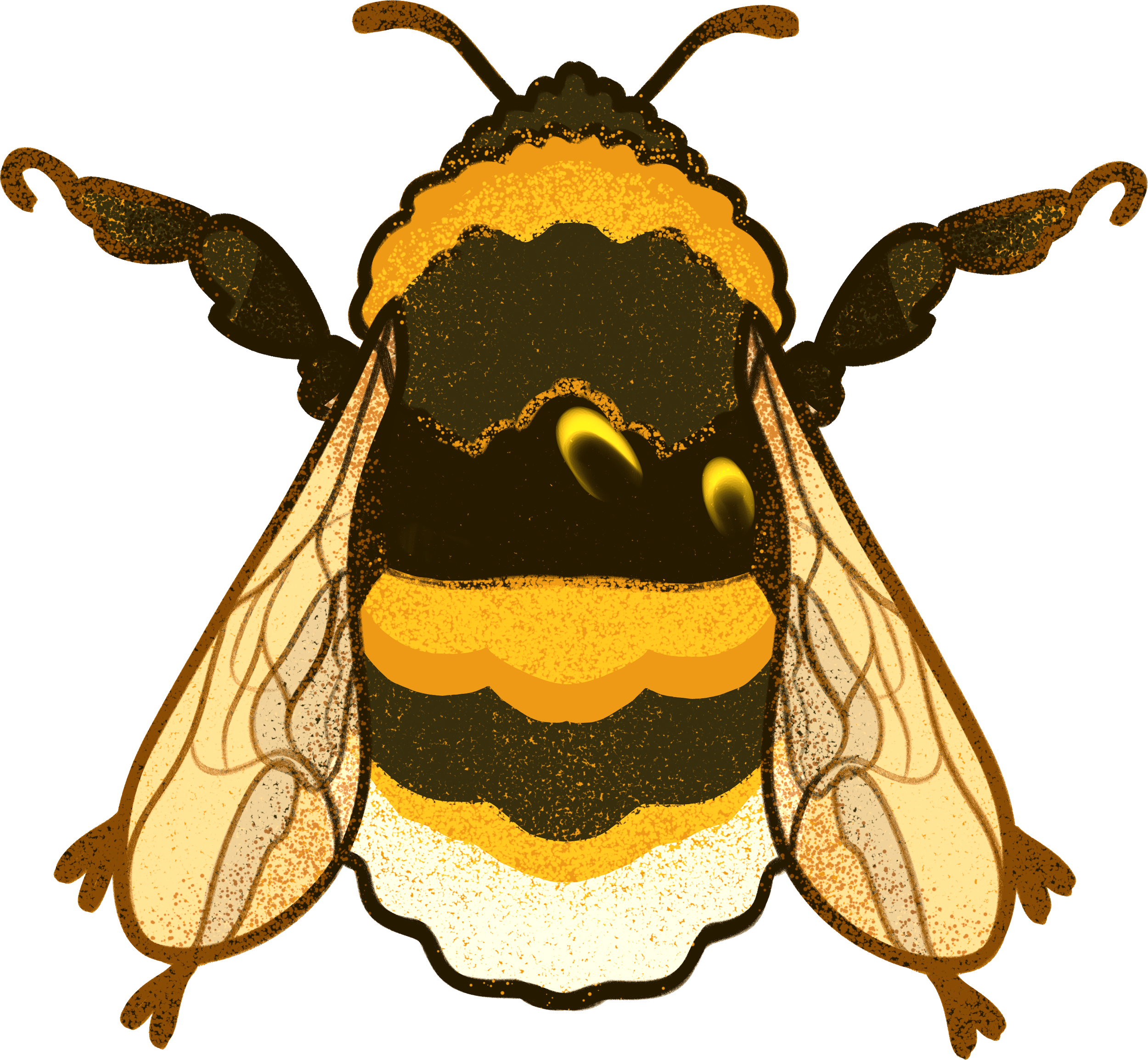 more_orange but bright.png