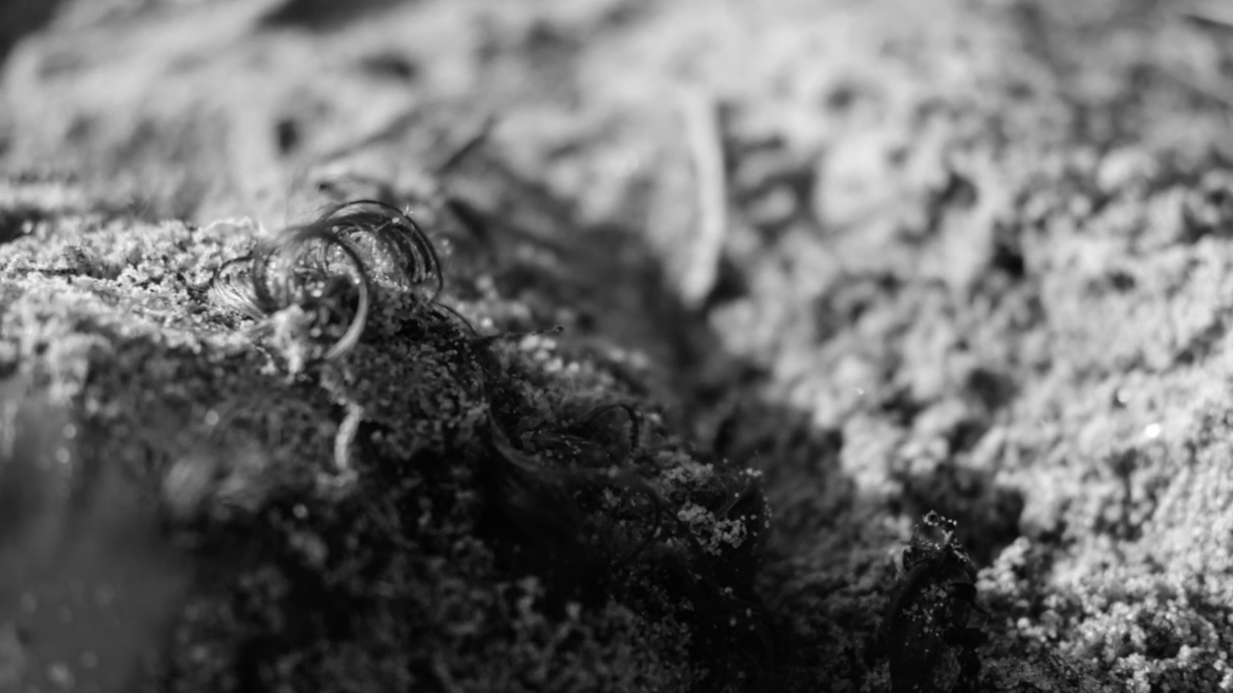 Screenshot 2025-12-28 at 19.04.08.png